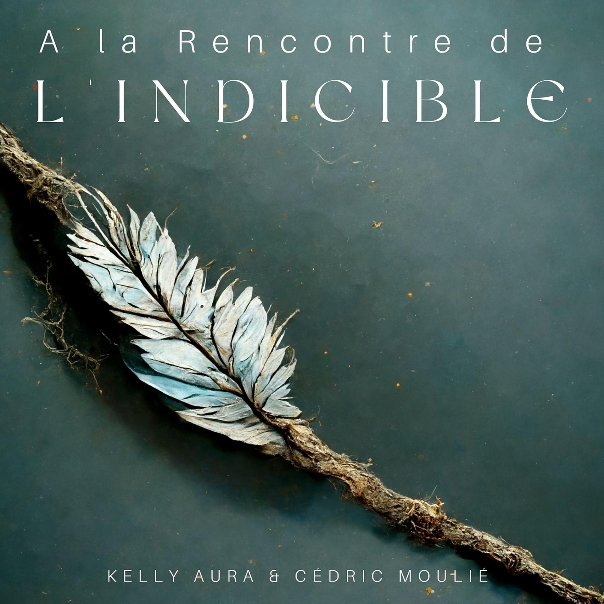 Постер альбома A la Rencontre de l'Indicible