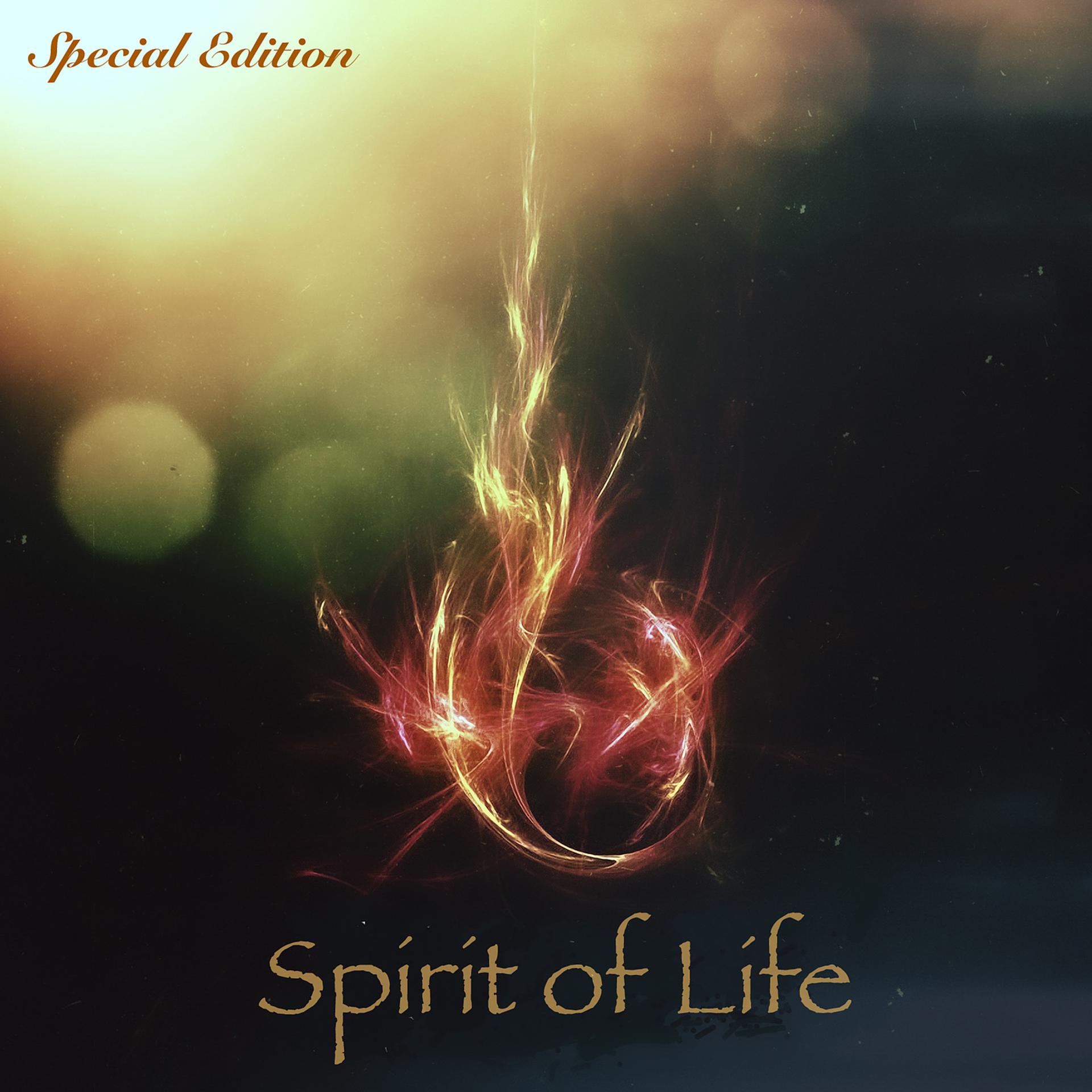 Постер альбома Spirit of Life (Special Edition)