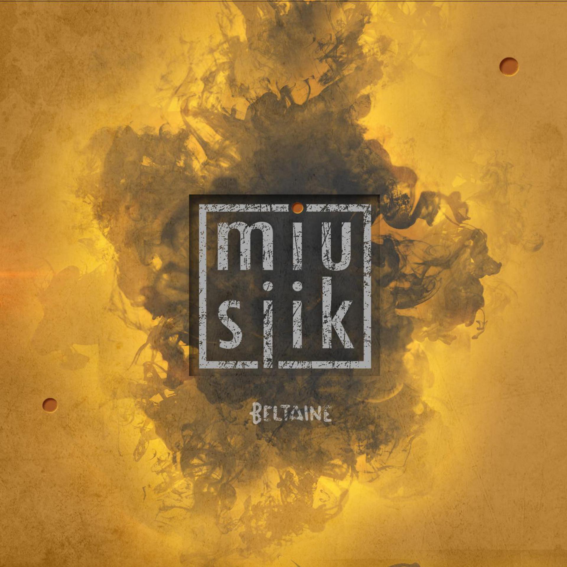 Постер альбома Miusjik