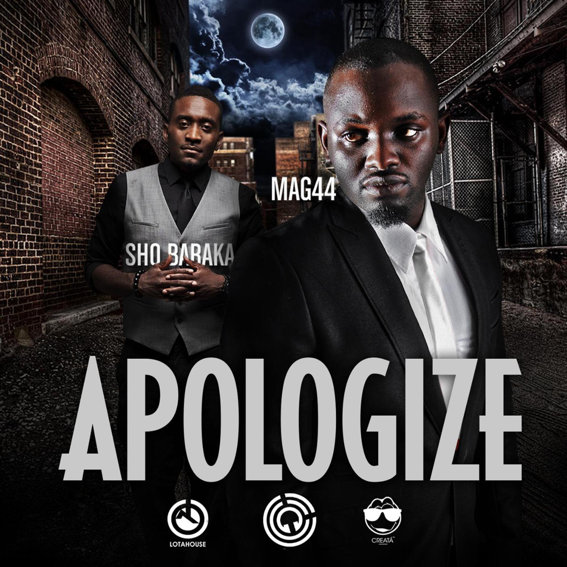 Постер альбома Apologize (feat. Sho Baraka)