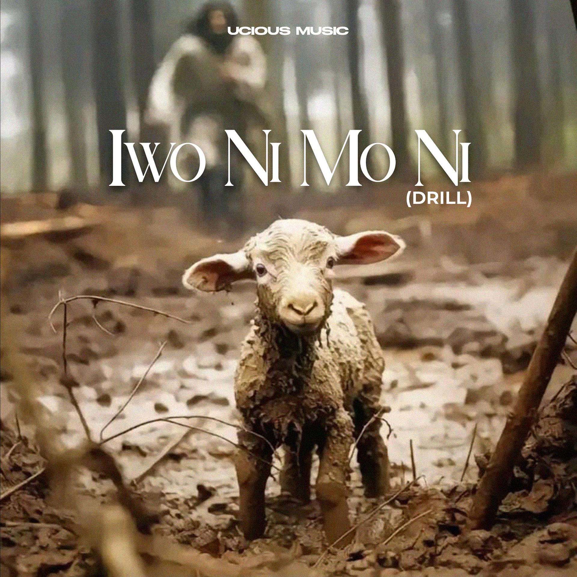 Постер альбома Iwo Ni Mo Ni (Drill)