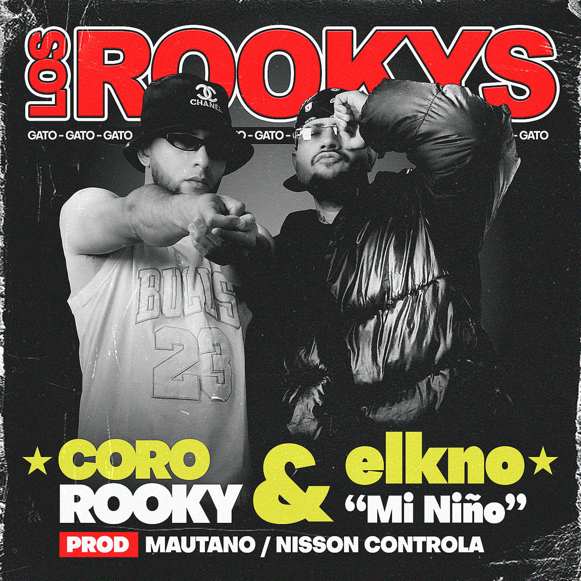 Постер альбома Los Rookys (Gato)
