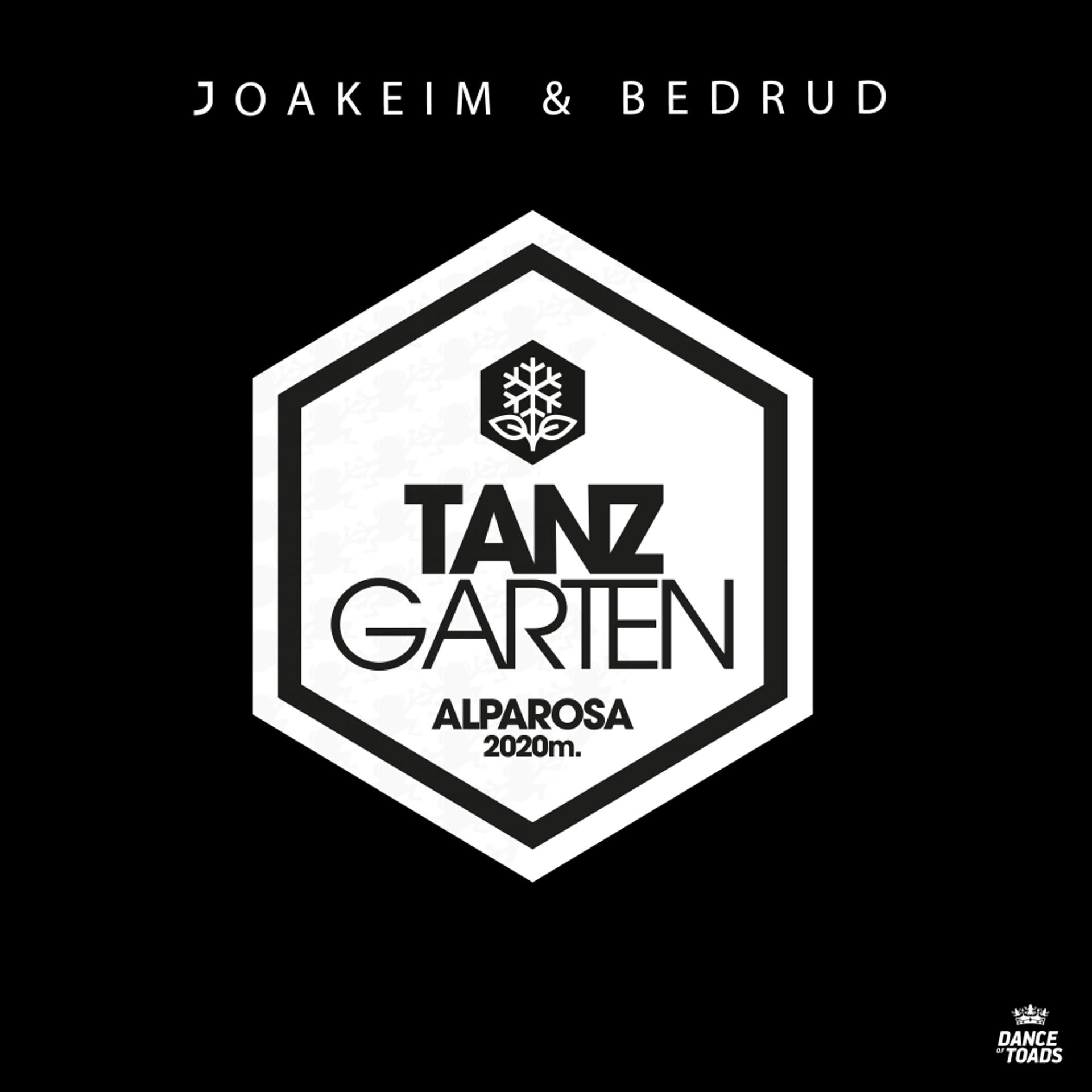 Постер альбома Tanz Garten