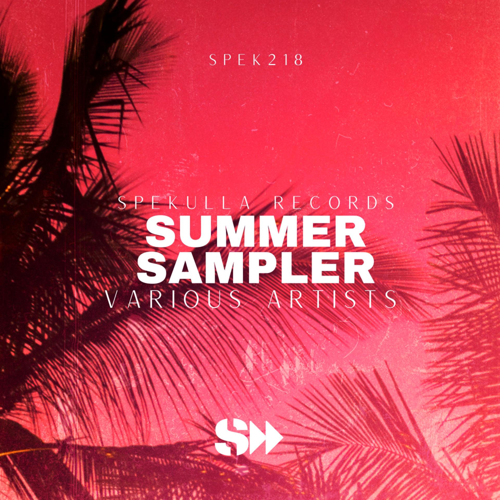 Постер альбома Summer Sampler 2023