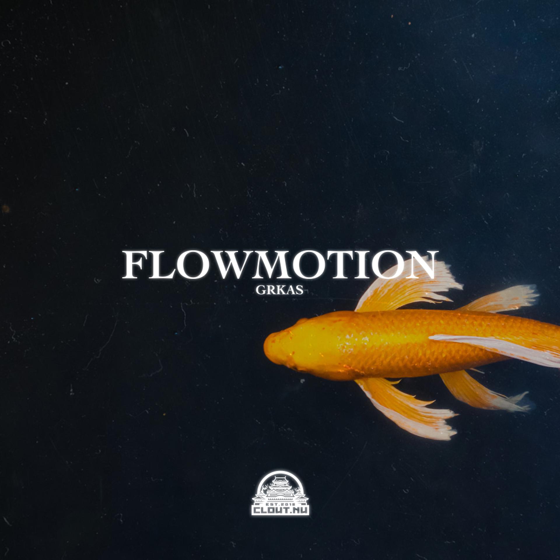 Постер альбома Flowmotion