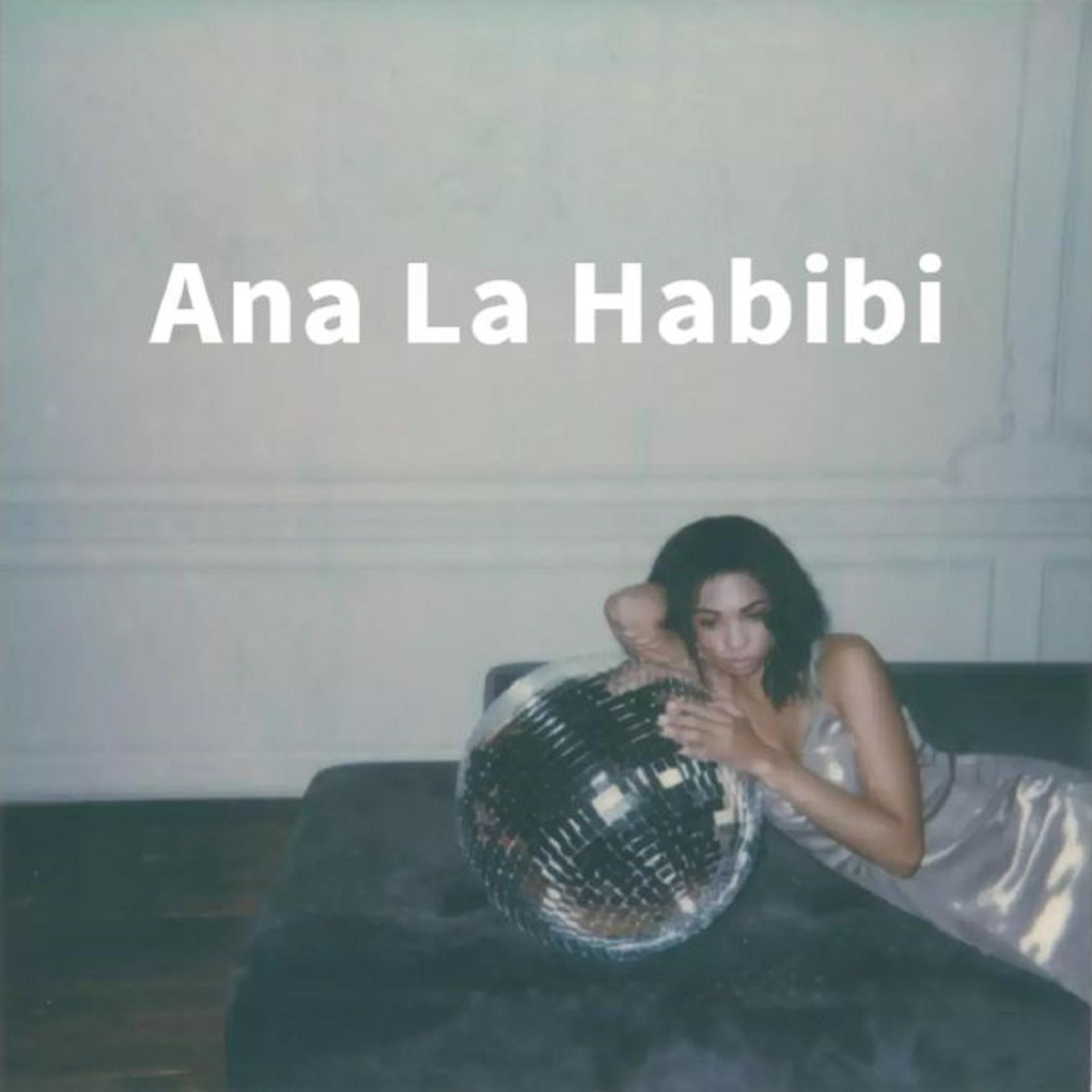 Постер альбома Ana La Habibi