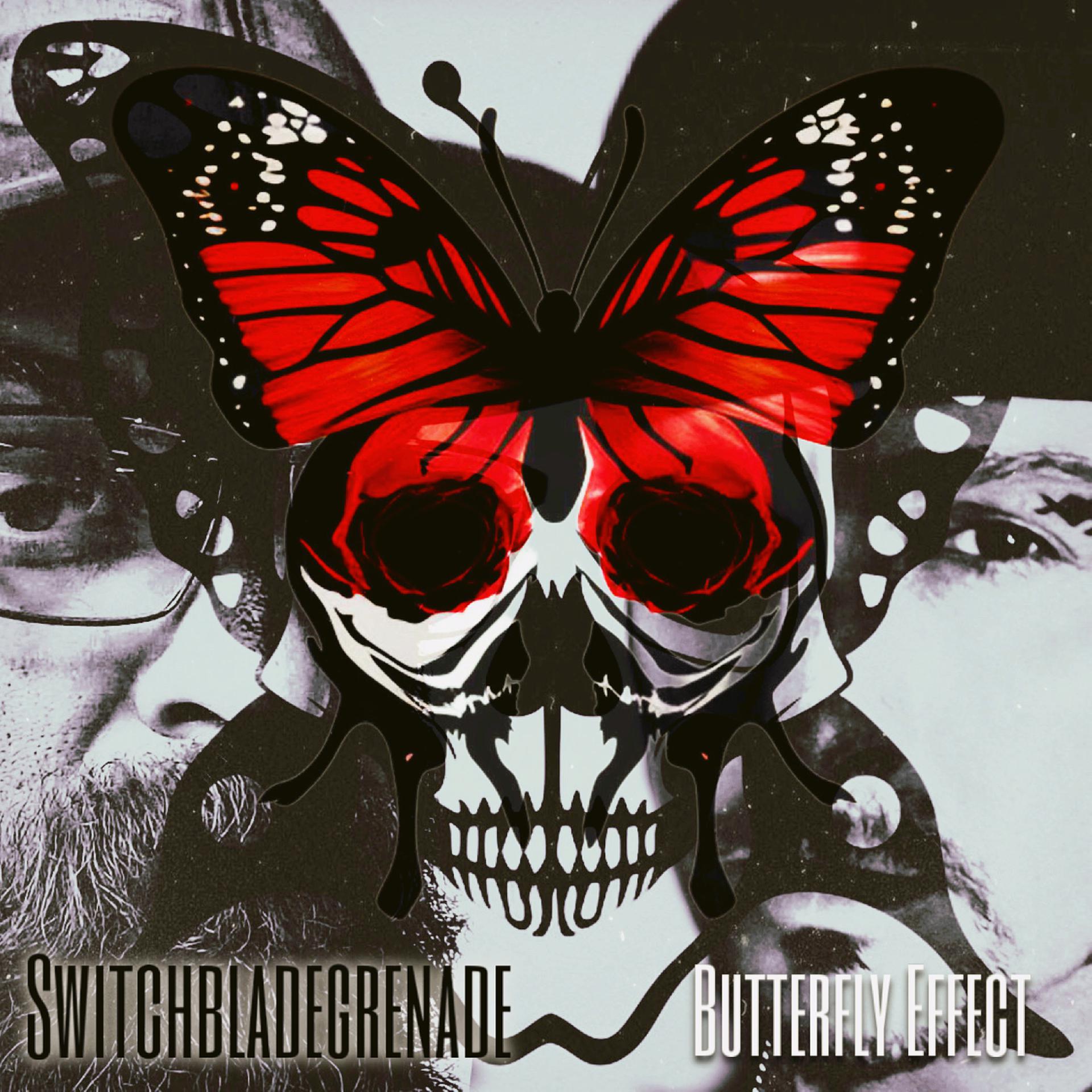 Постер альбома Butterfly Effect