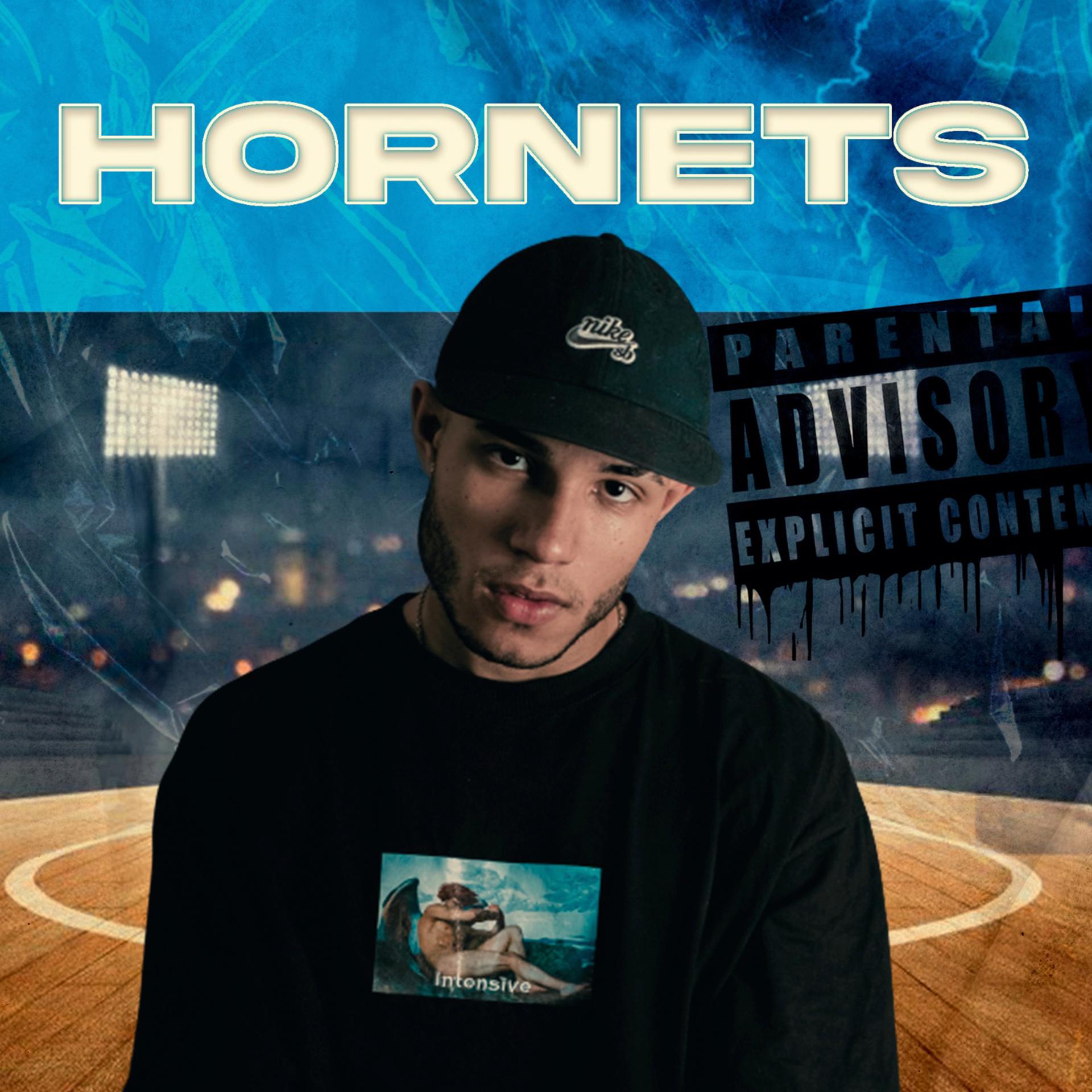 Постер альбома Hornets