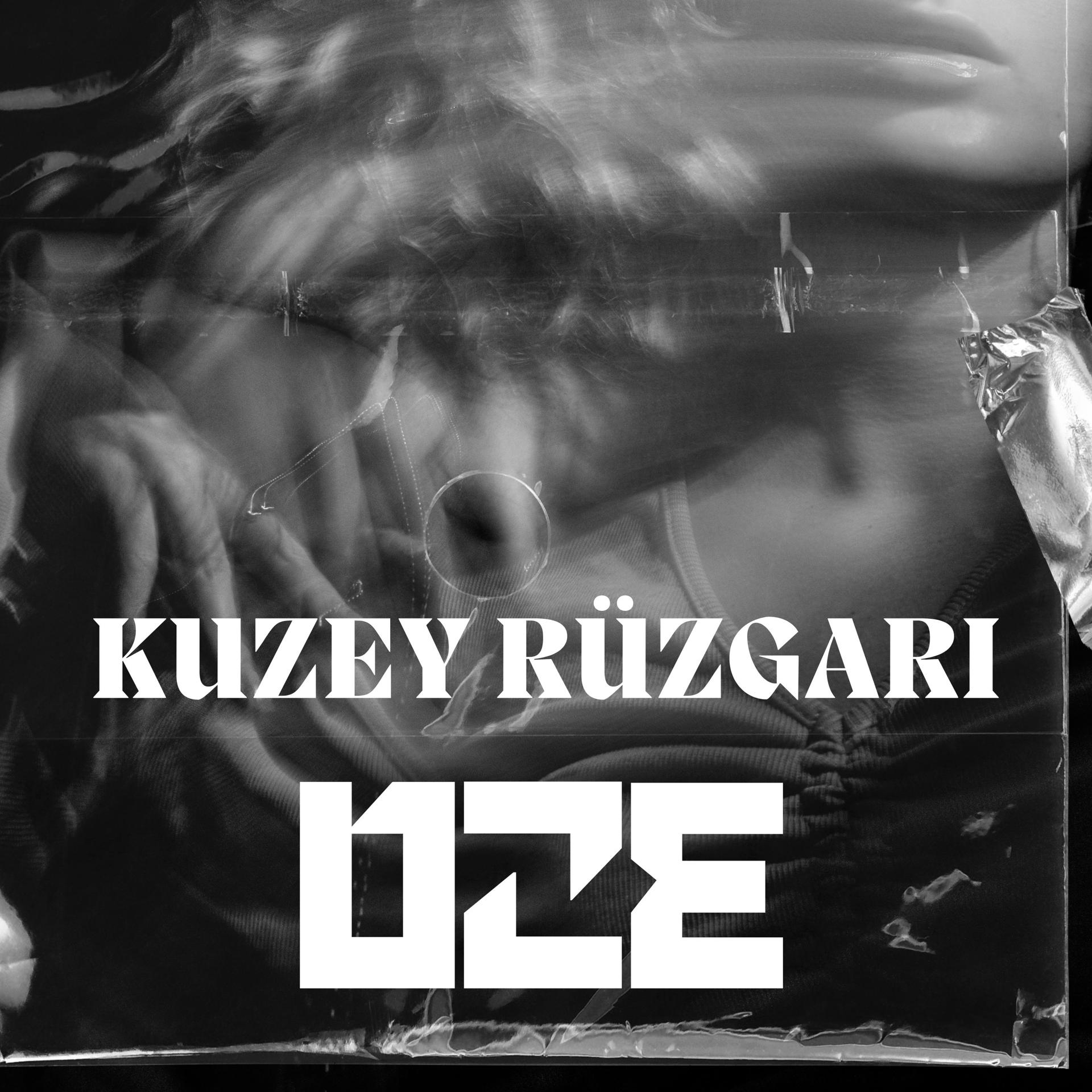 Постер альбома KUZEY RÜZGARI