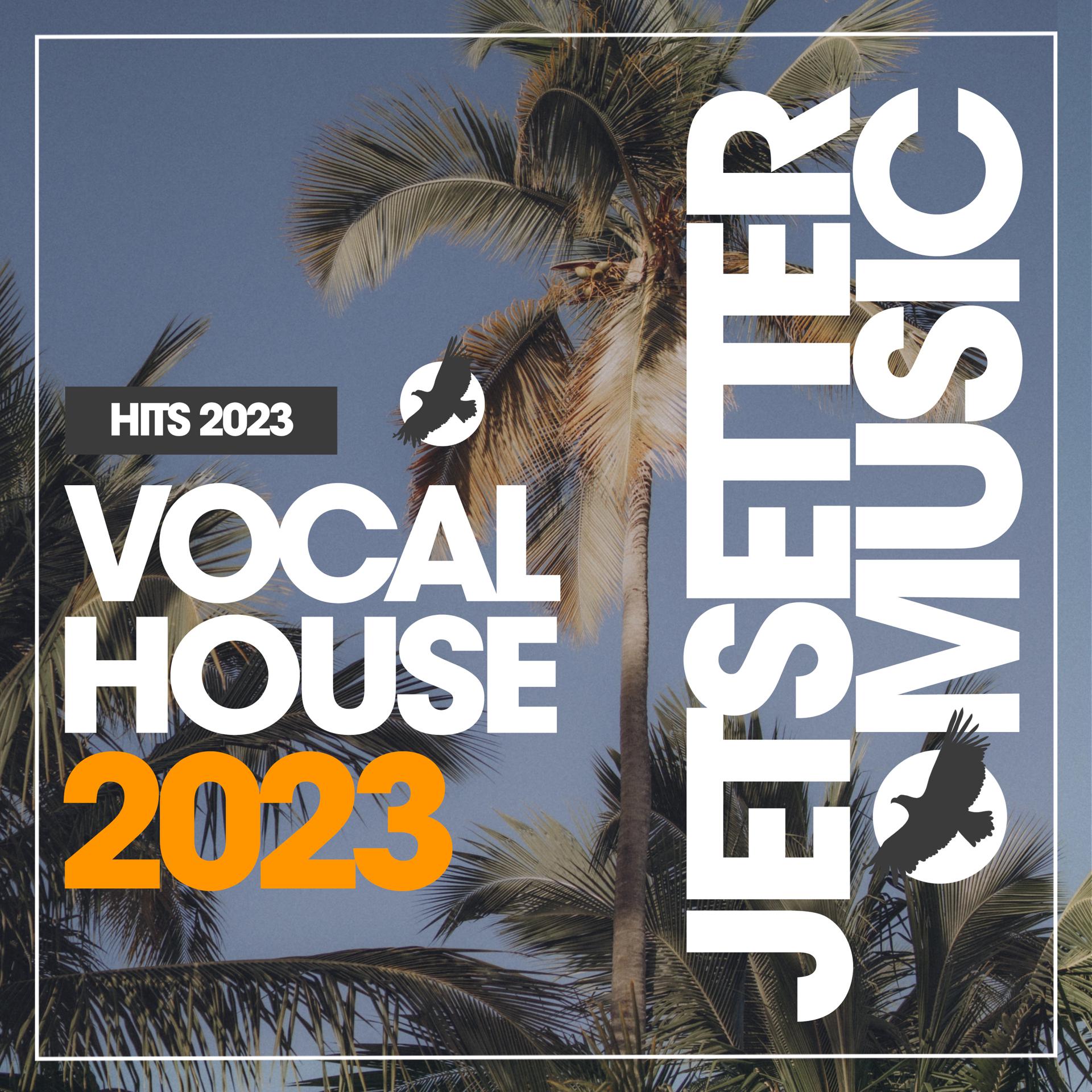 Постер альбома Vocal House Hits 2023