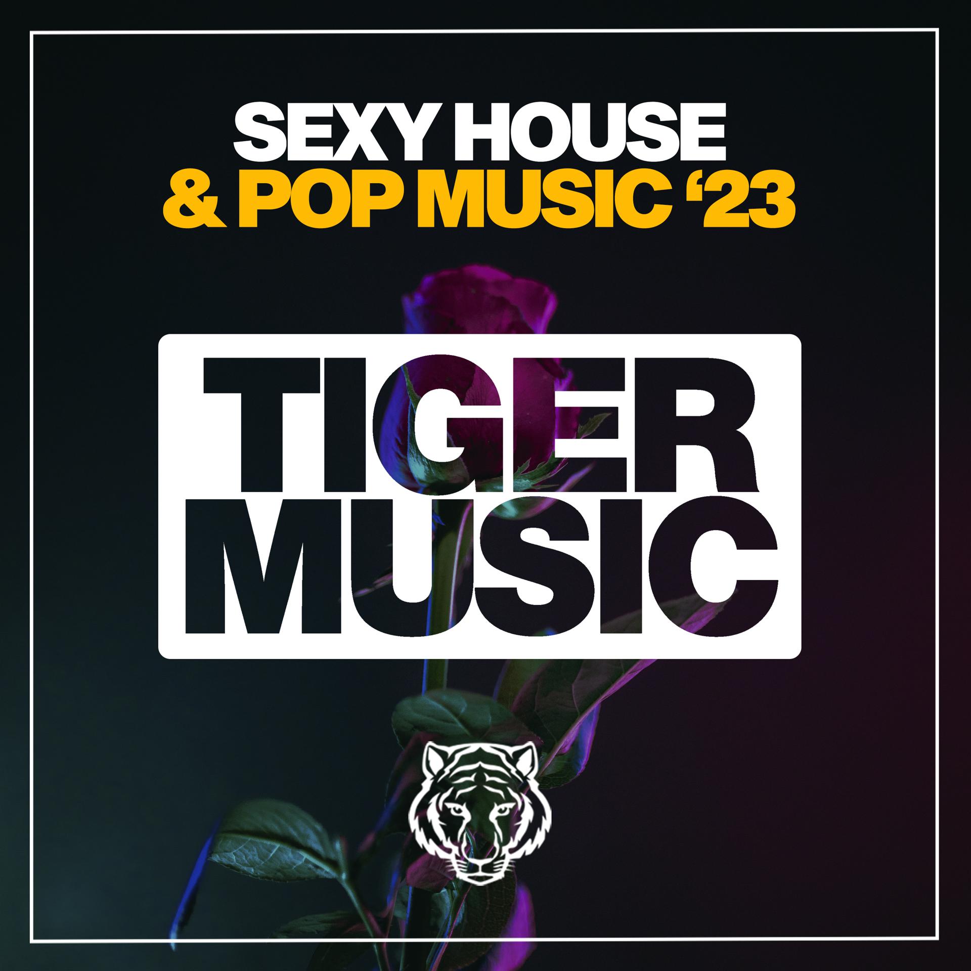 Постер альбома Sexy House & Pop Music 2023