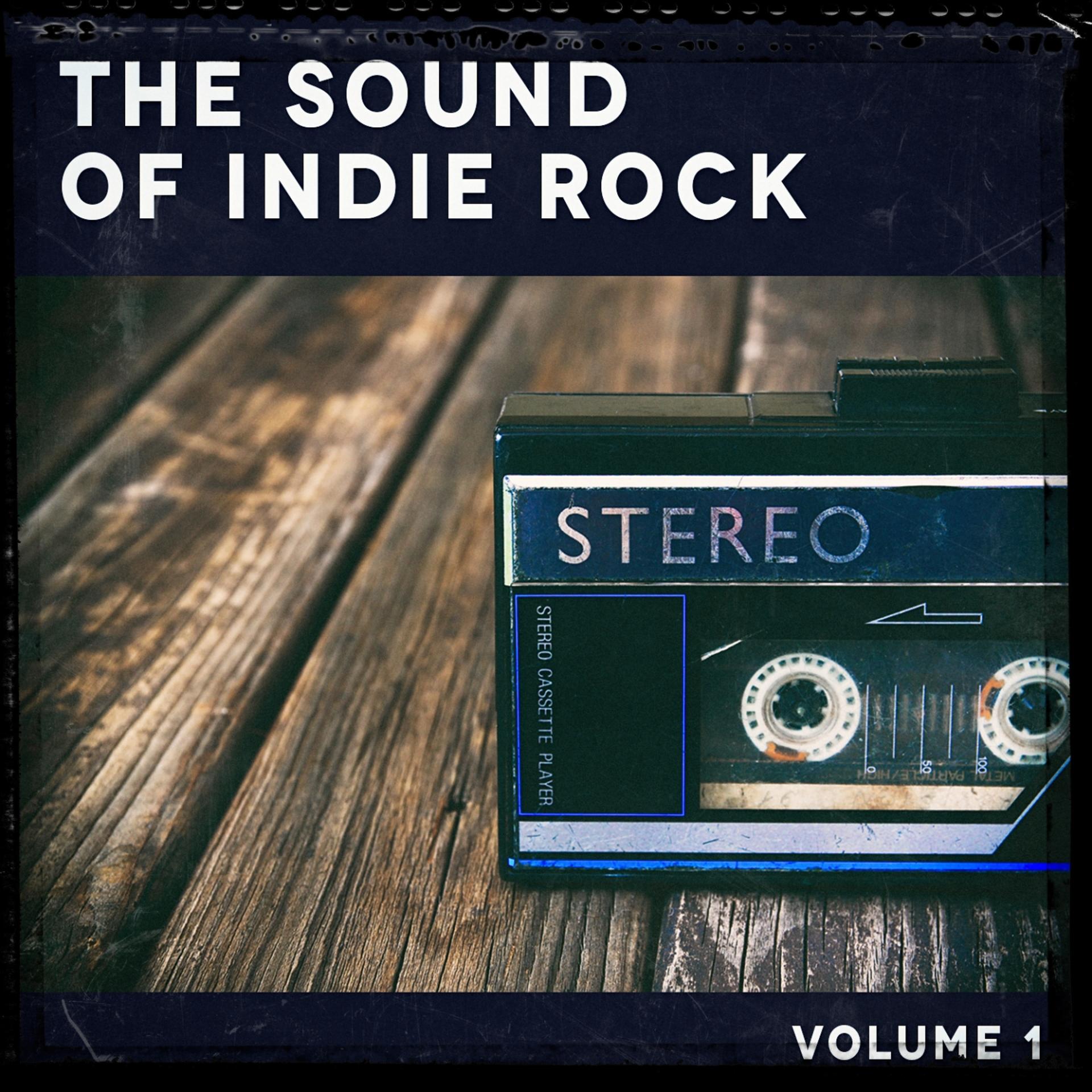 Постер альбома The Sound of Indie Rock, Vol. 1
