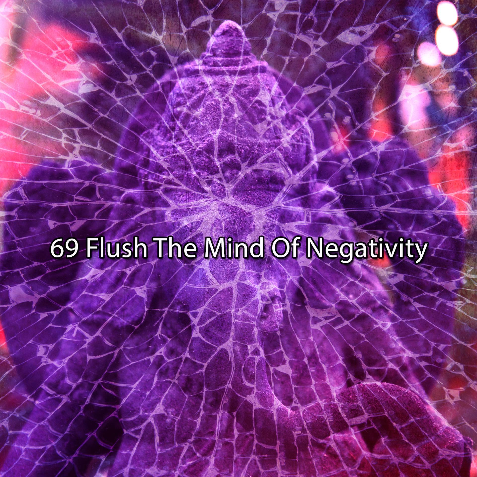 Постер альбома 69 Flush The Mind Of Negativity