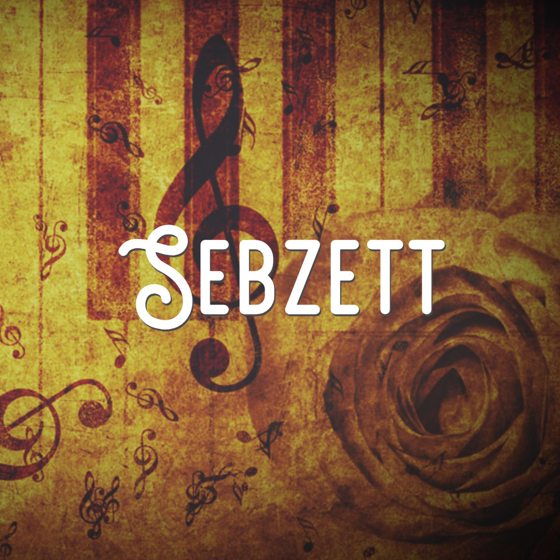 Постер альбома Sebzett