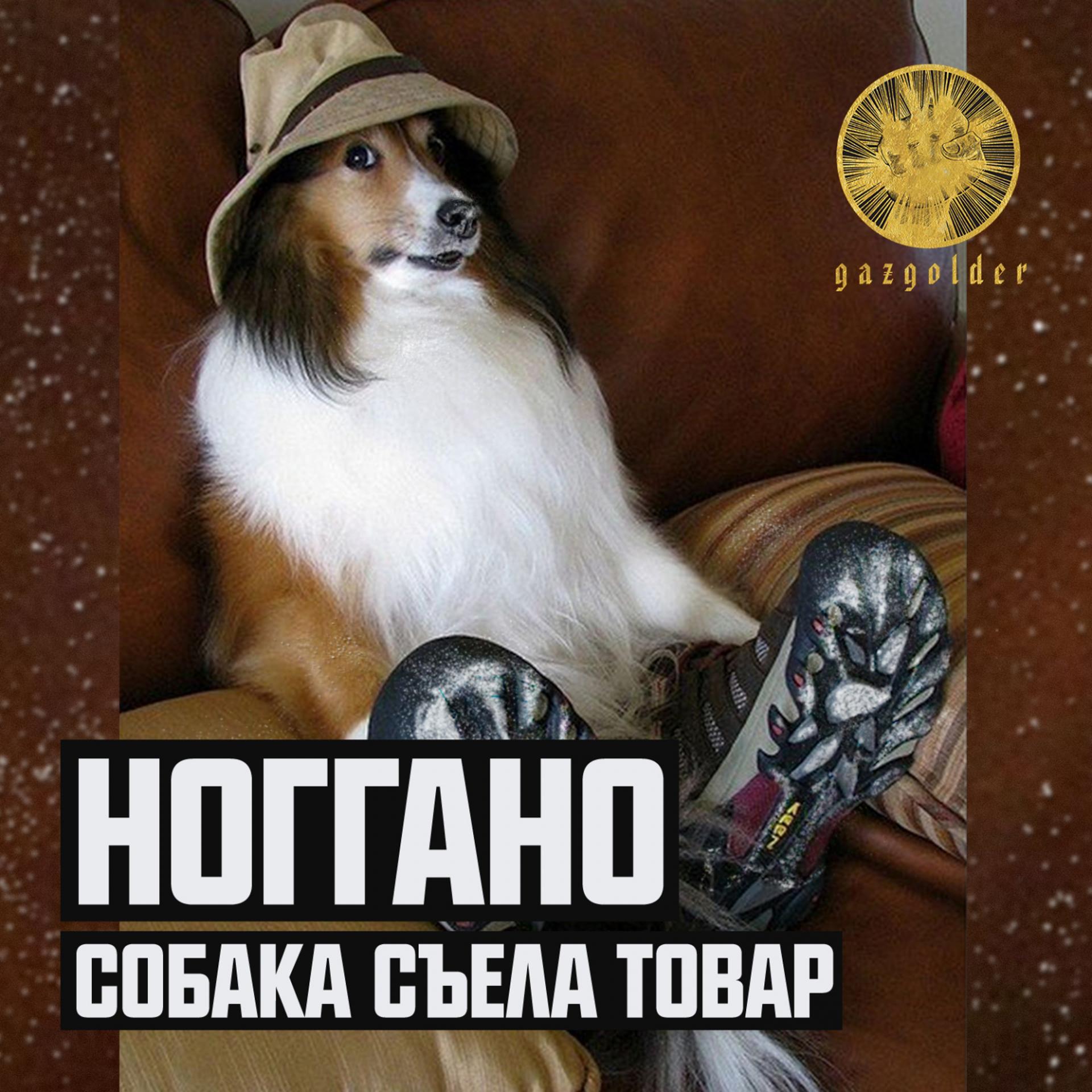 Постер альбома Собака съела товар