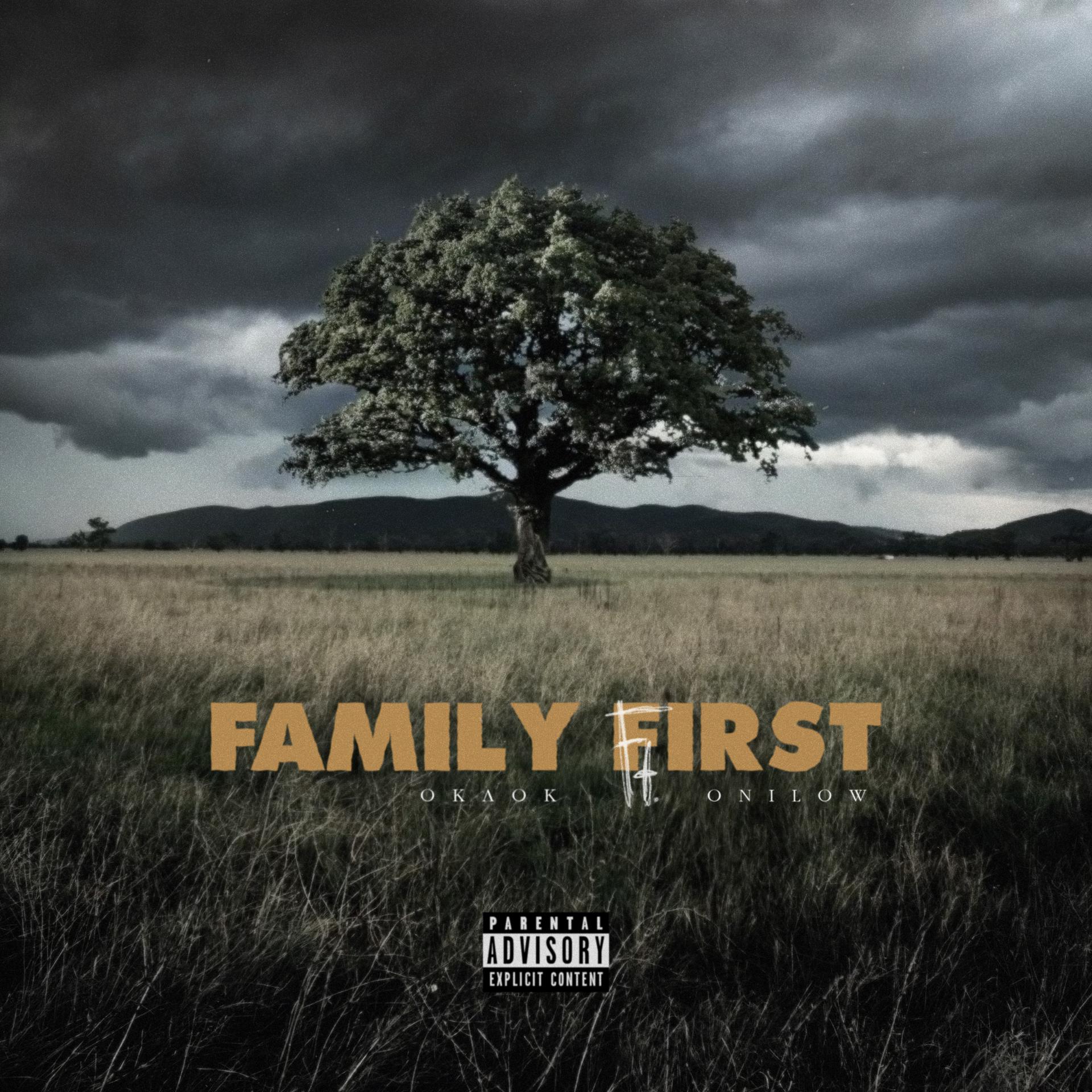 Постер альбома FAMILY FIRST
