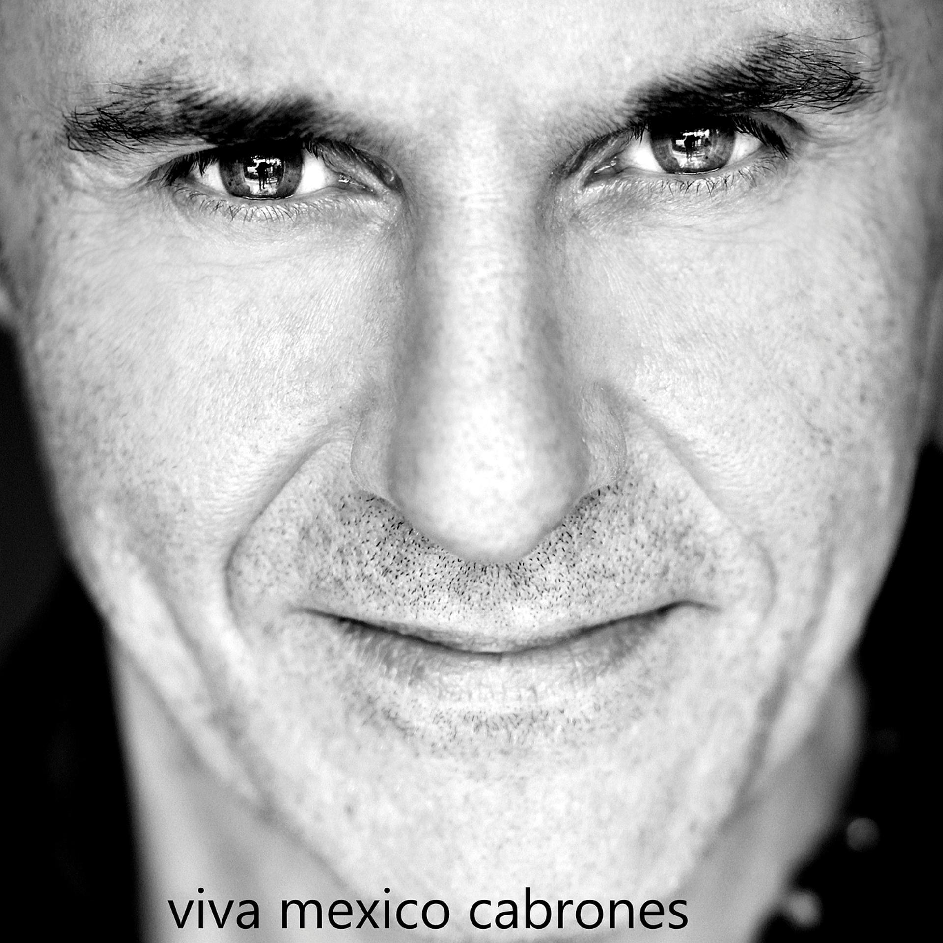 Постер альбома Viva México Cabrones