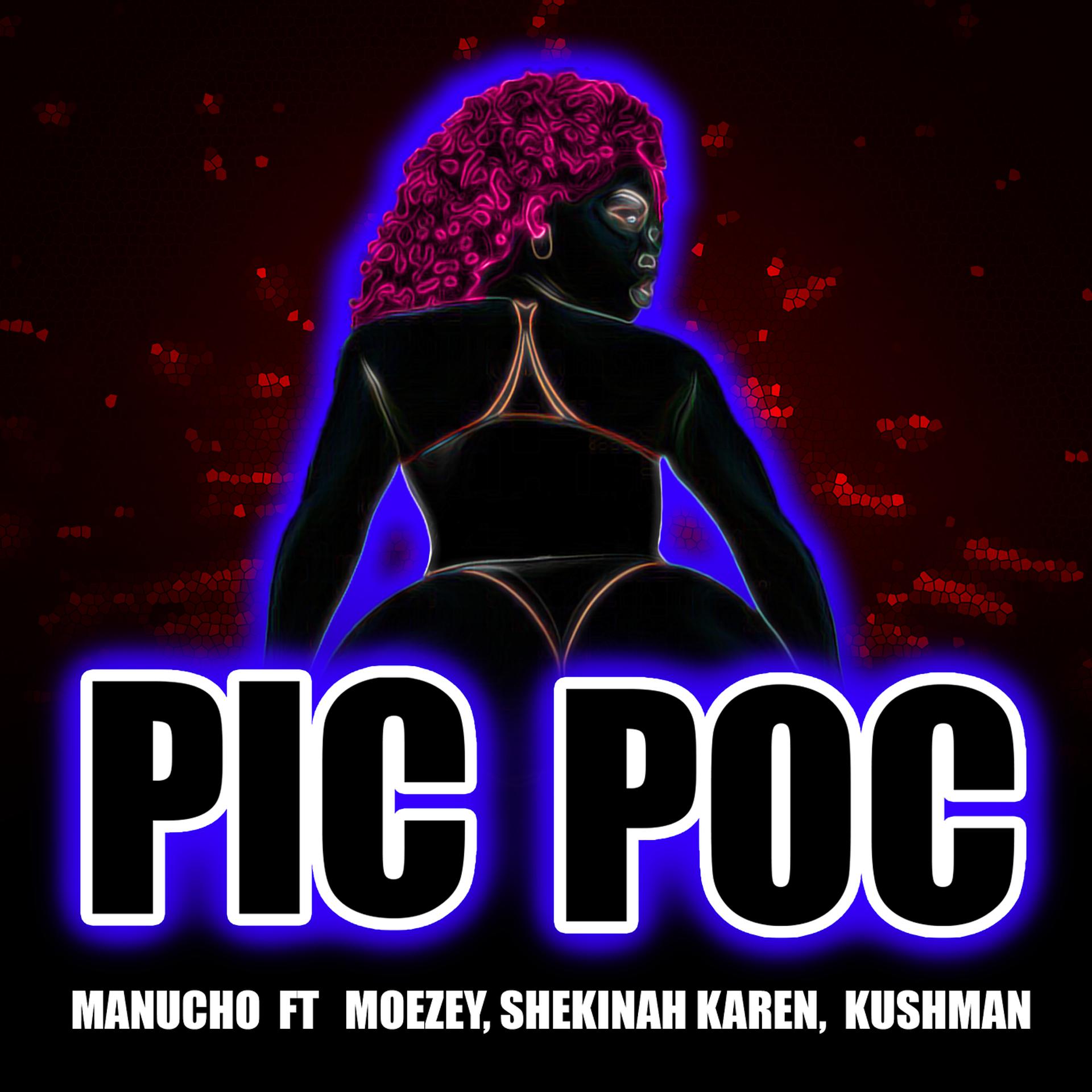 Постер альбома Pic Poc