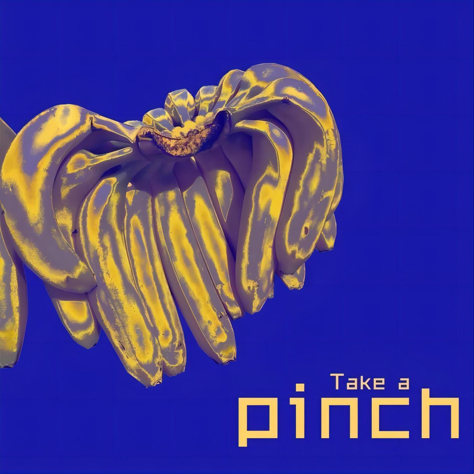 Постер альбома Take a pinch