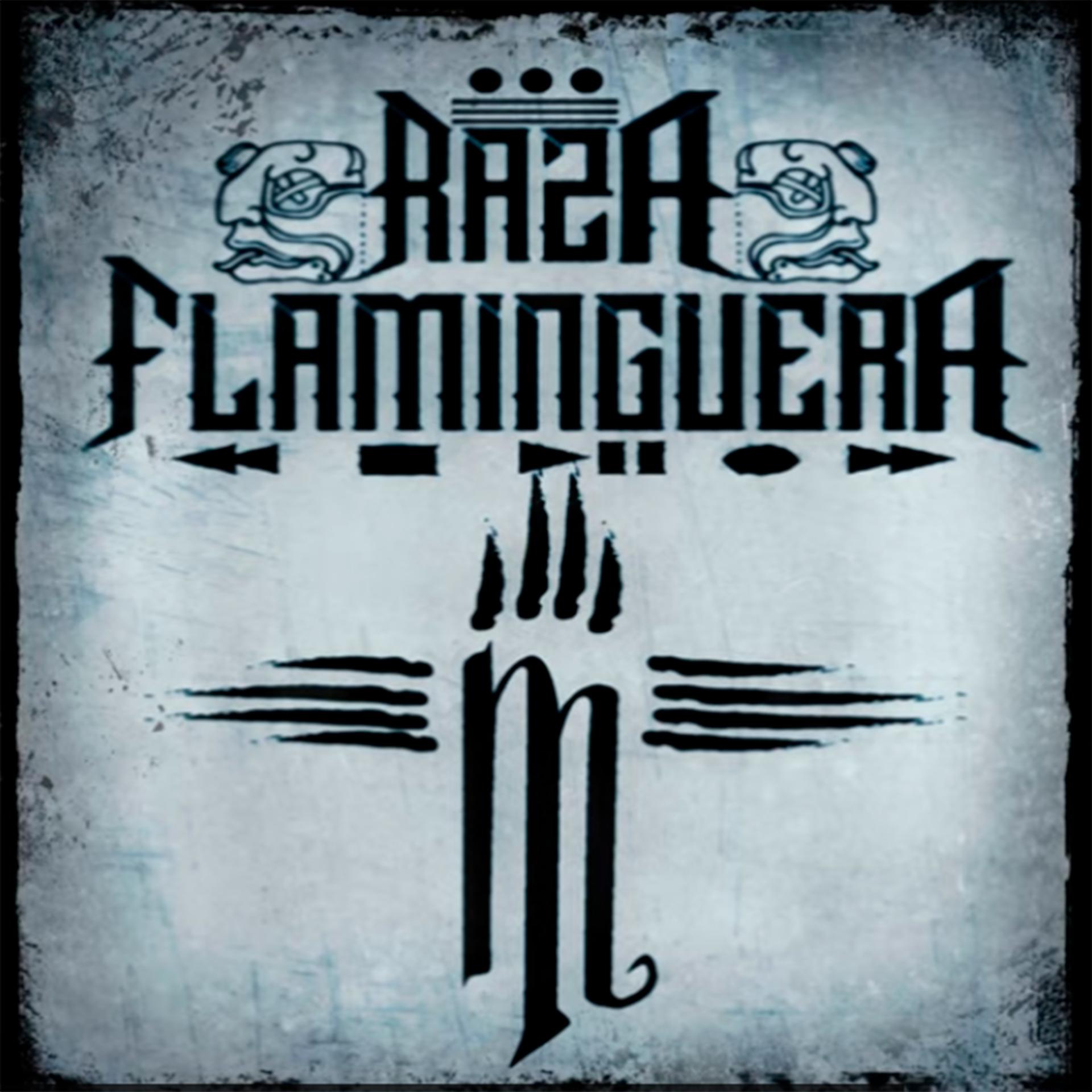 Постер альбома Raza Flaminguera