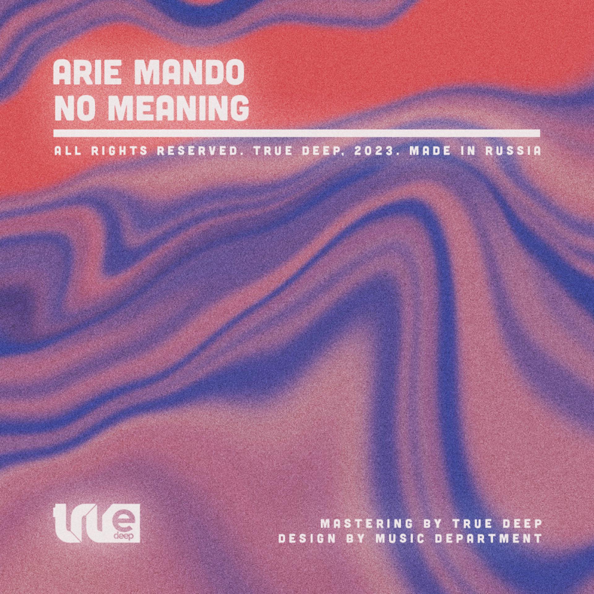 Постер альбома No Meaning