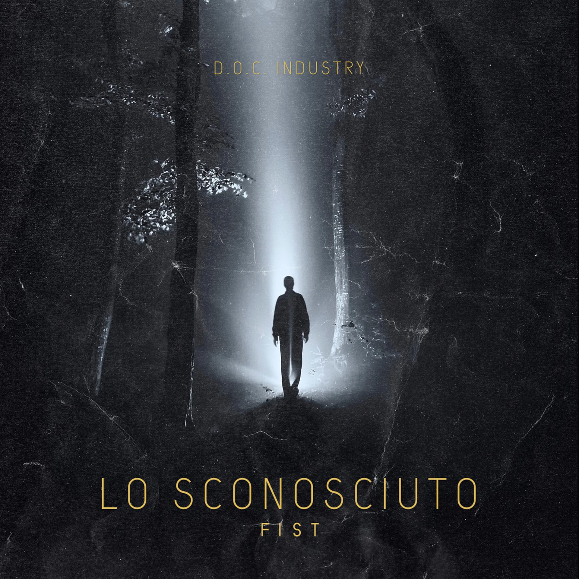 Постер альбома Lo Sconosciuto