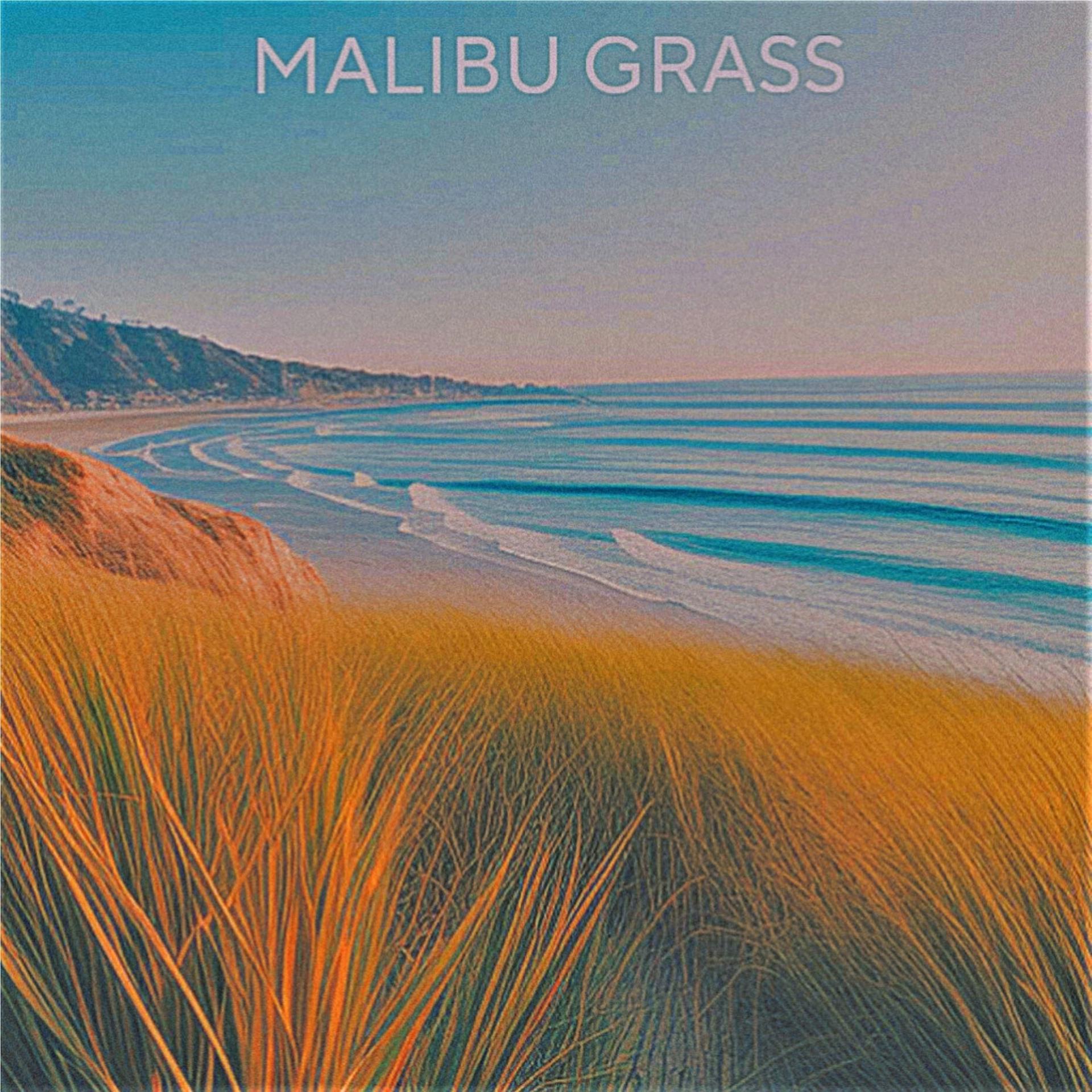 Постер альбома Malibu Grass