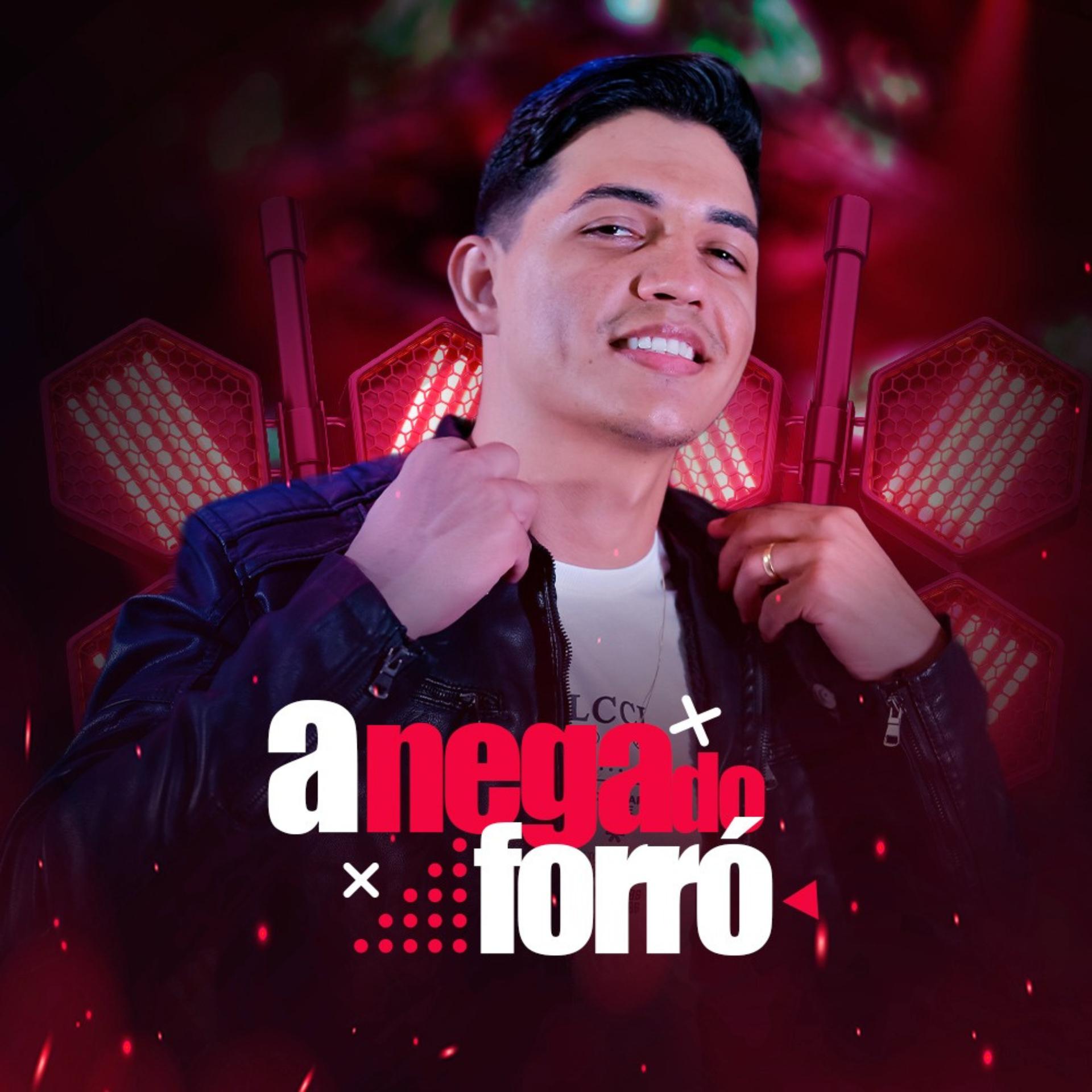 Постер альбома Nega do Forró