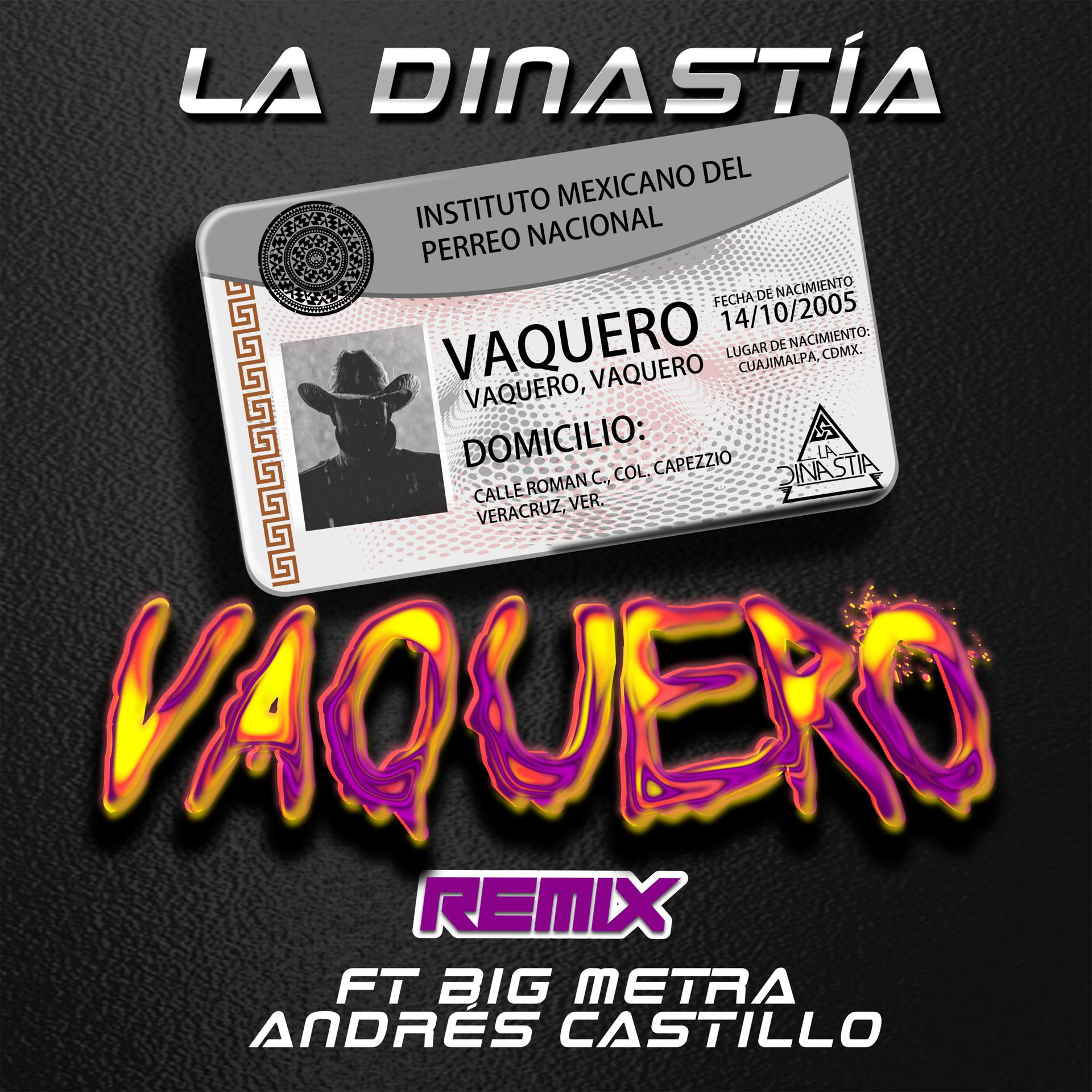Постер альбома Vaquero