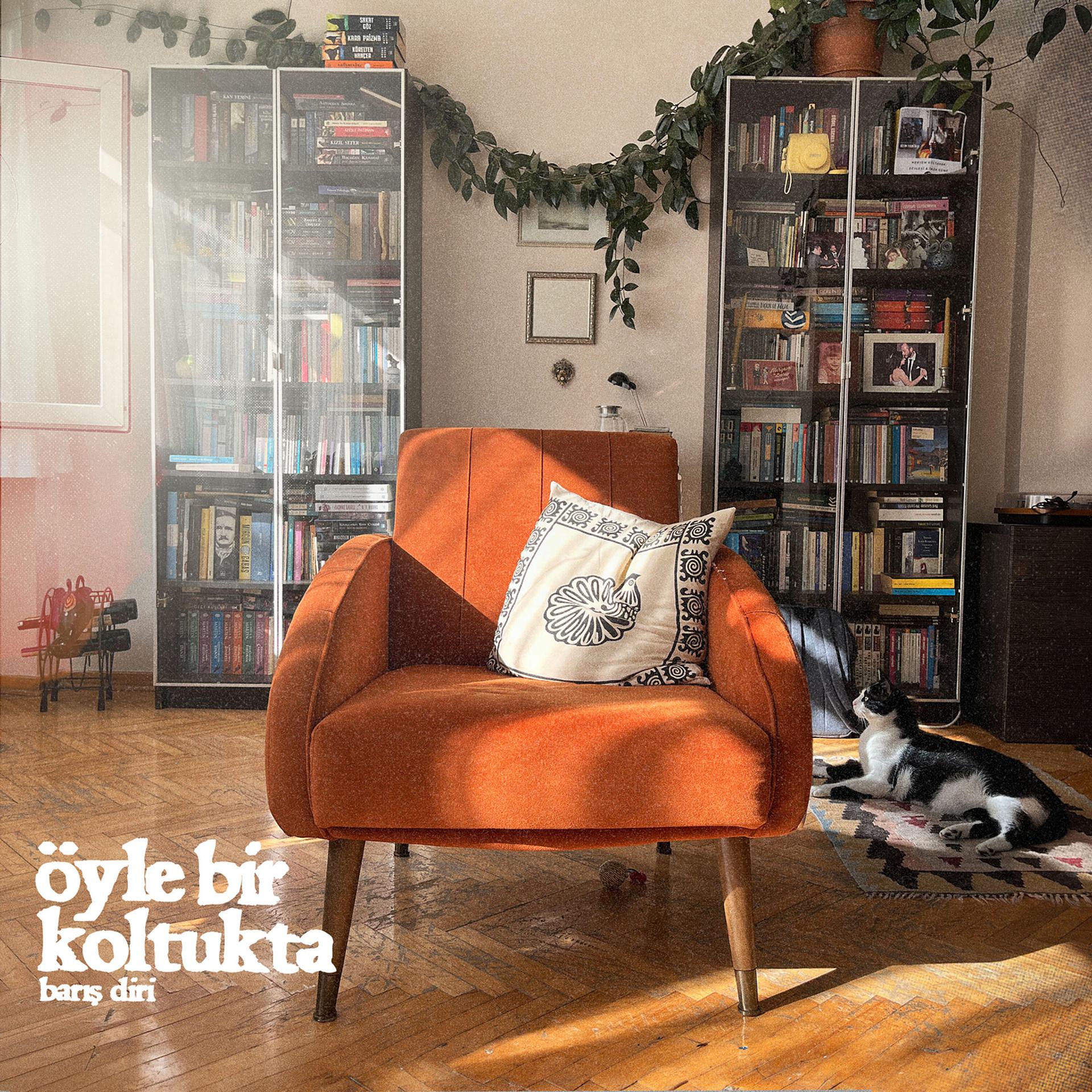 Постер альбома Öyle Bir Koltukta