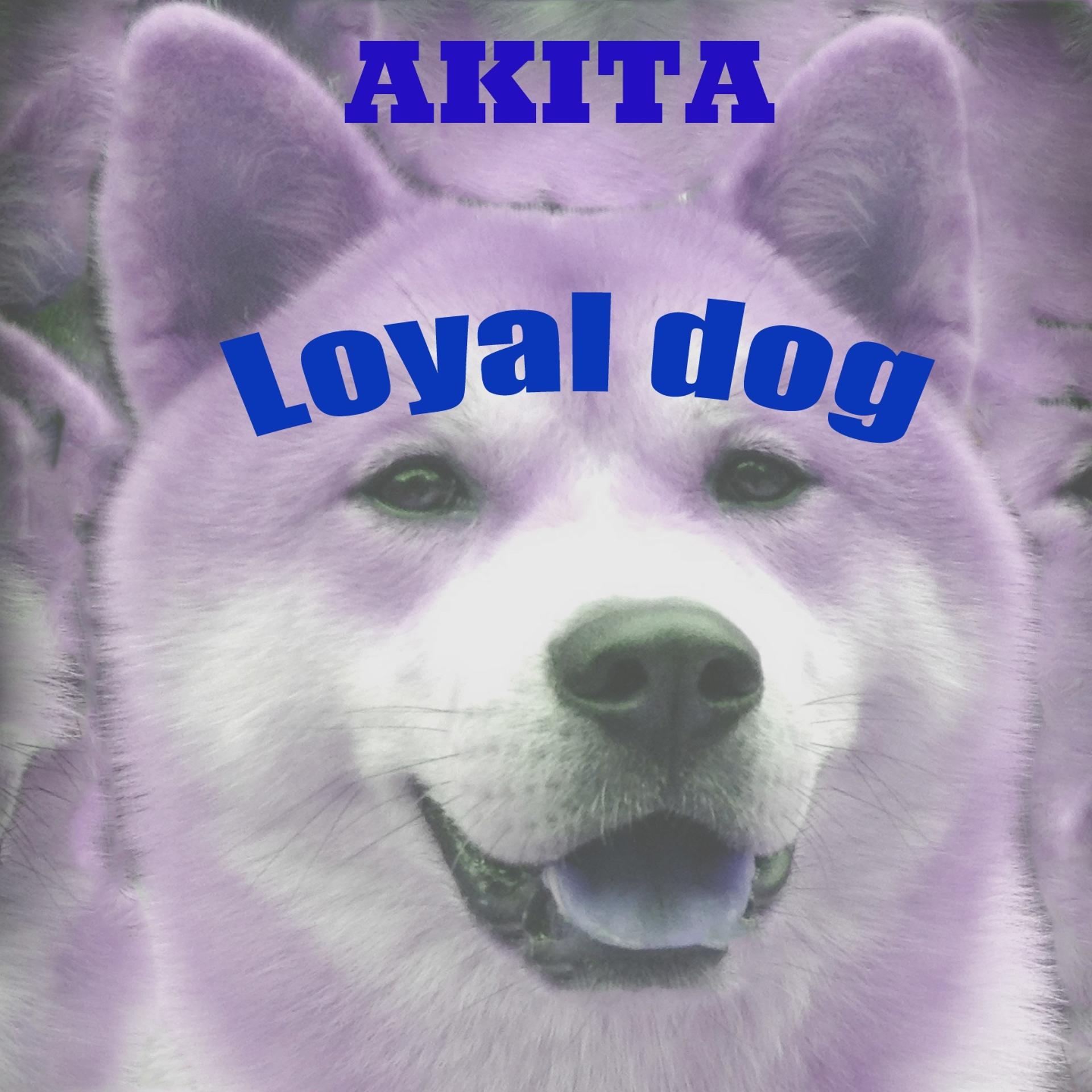 Постер альбома Loyal Dog