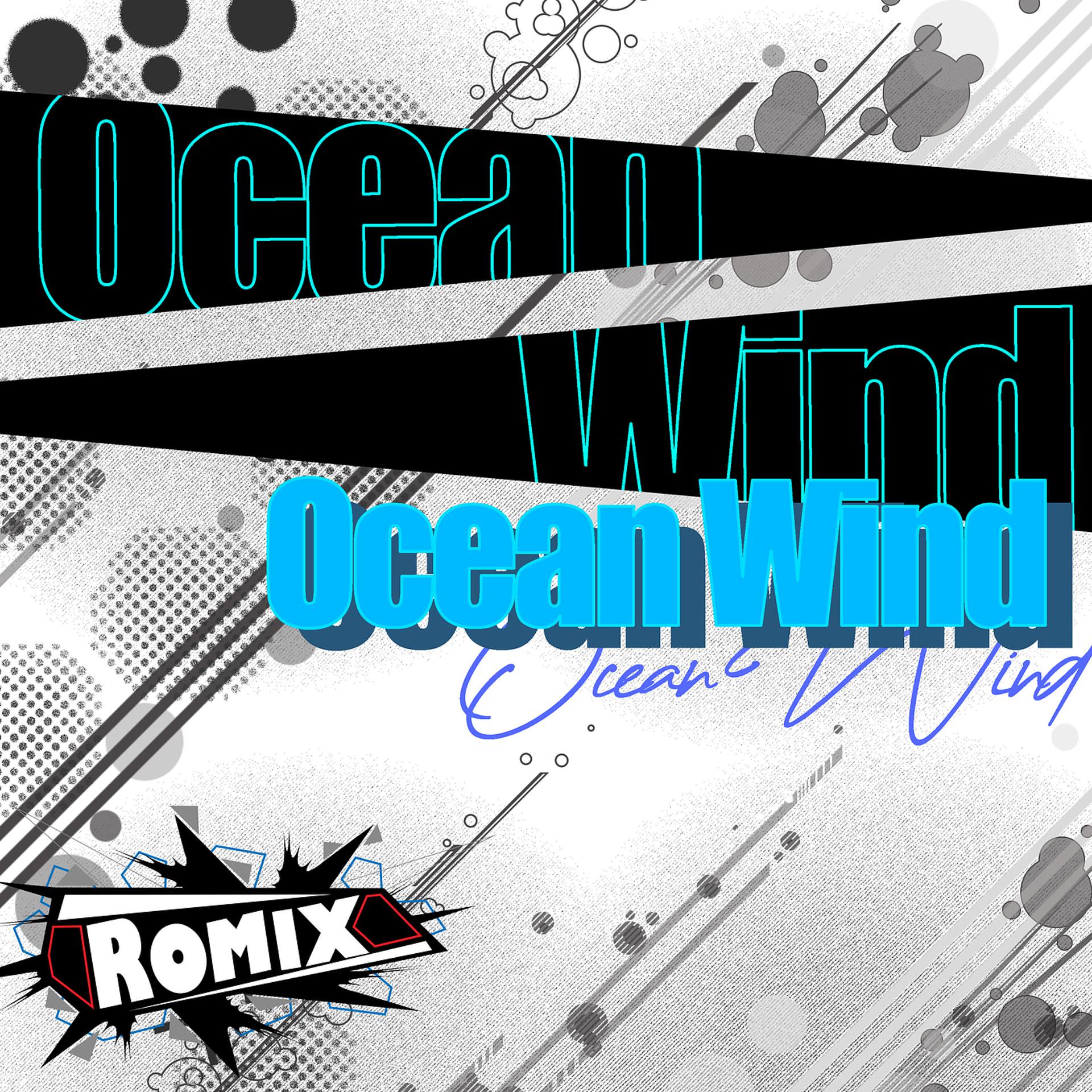 Постер альбома Ocean Wind
