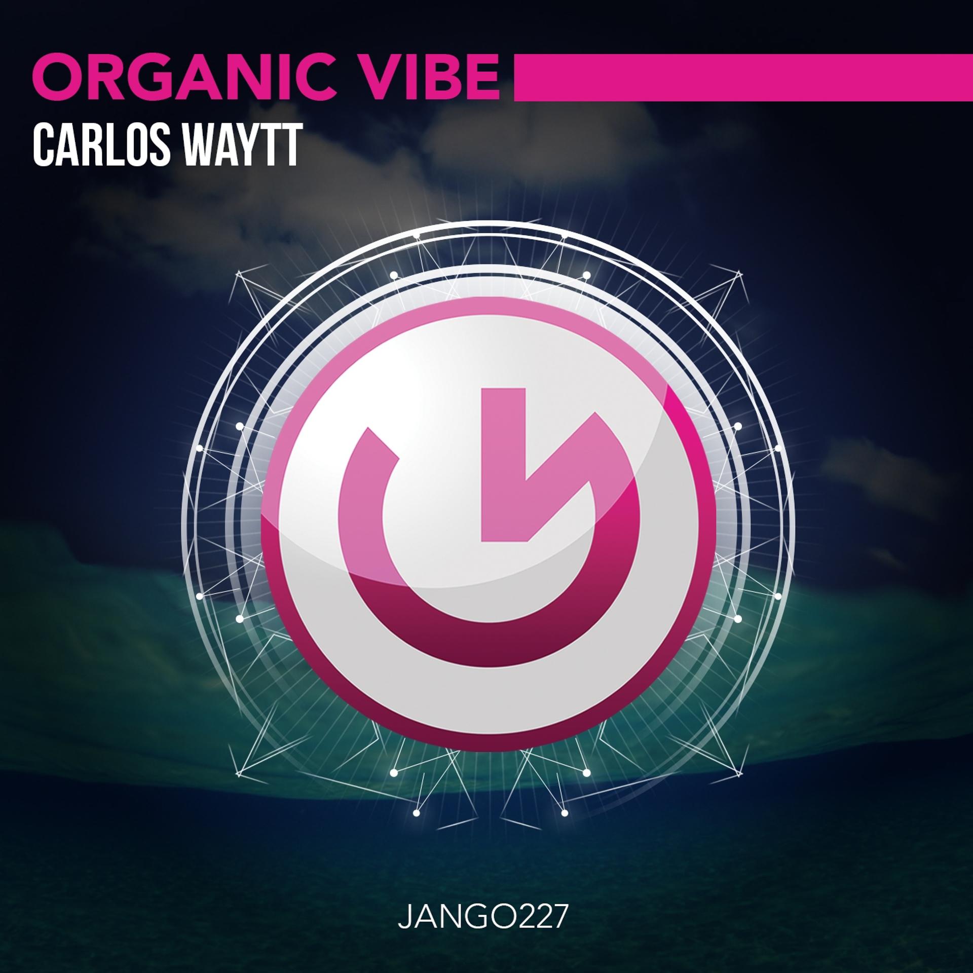 Постер альбома Organic Vibe