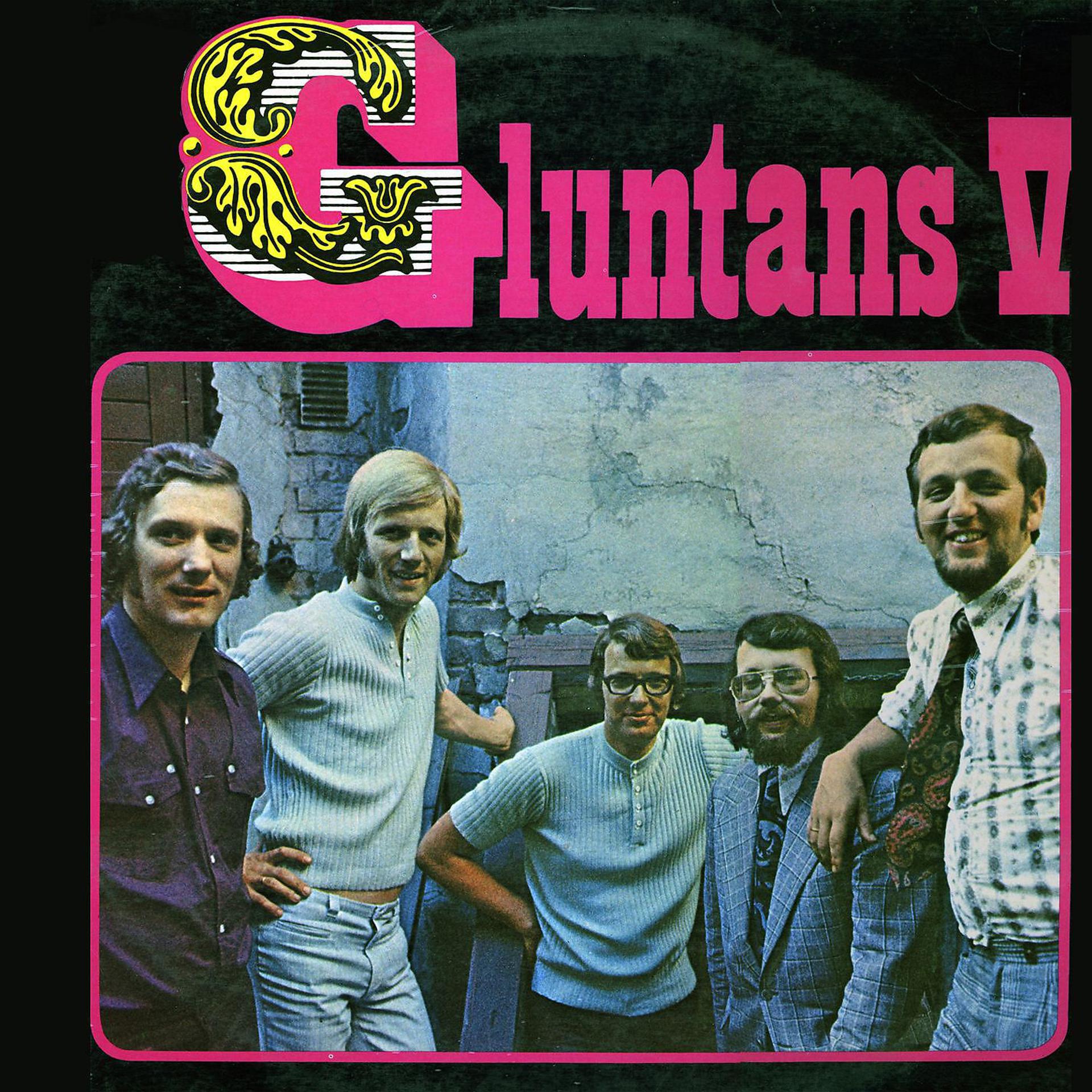 Постер альбома Gluntans V