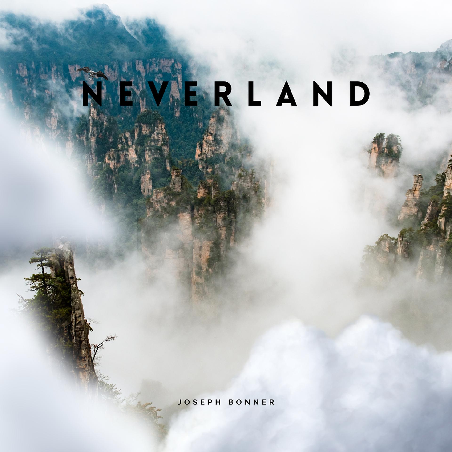 Постер альбома Neverland