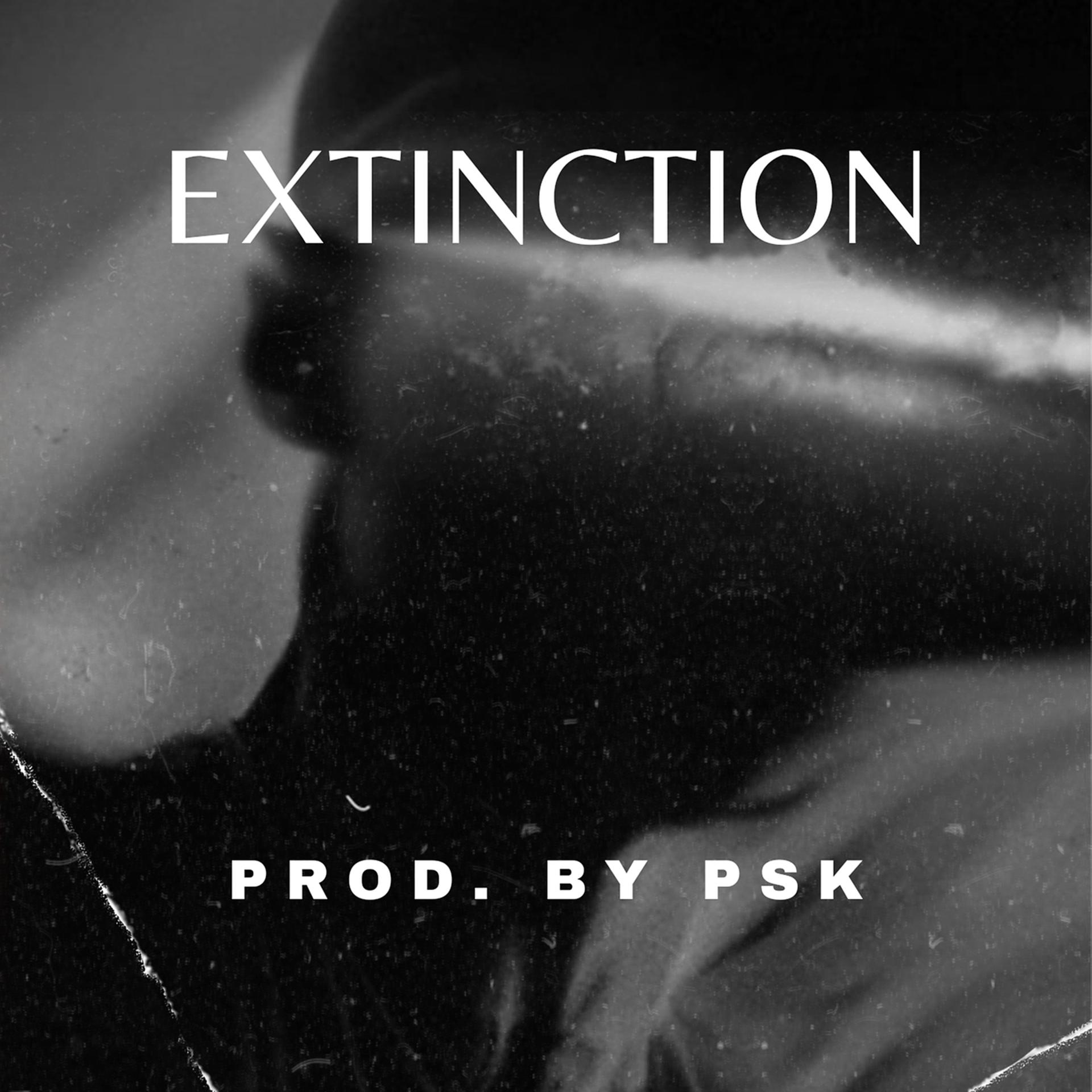 Постер альбома Extinction (Instru Rap)