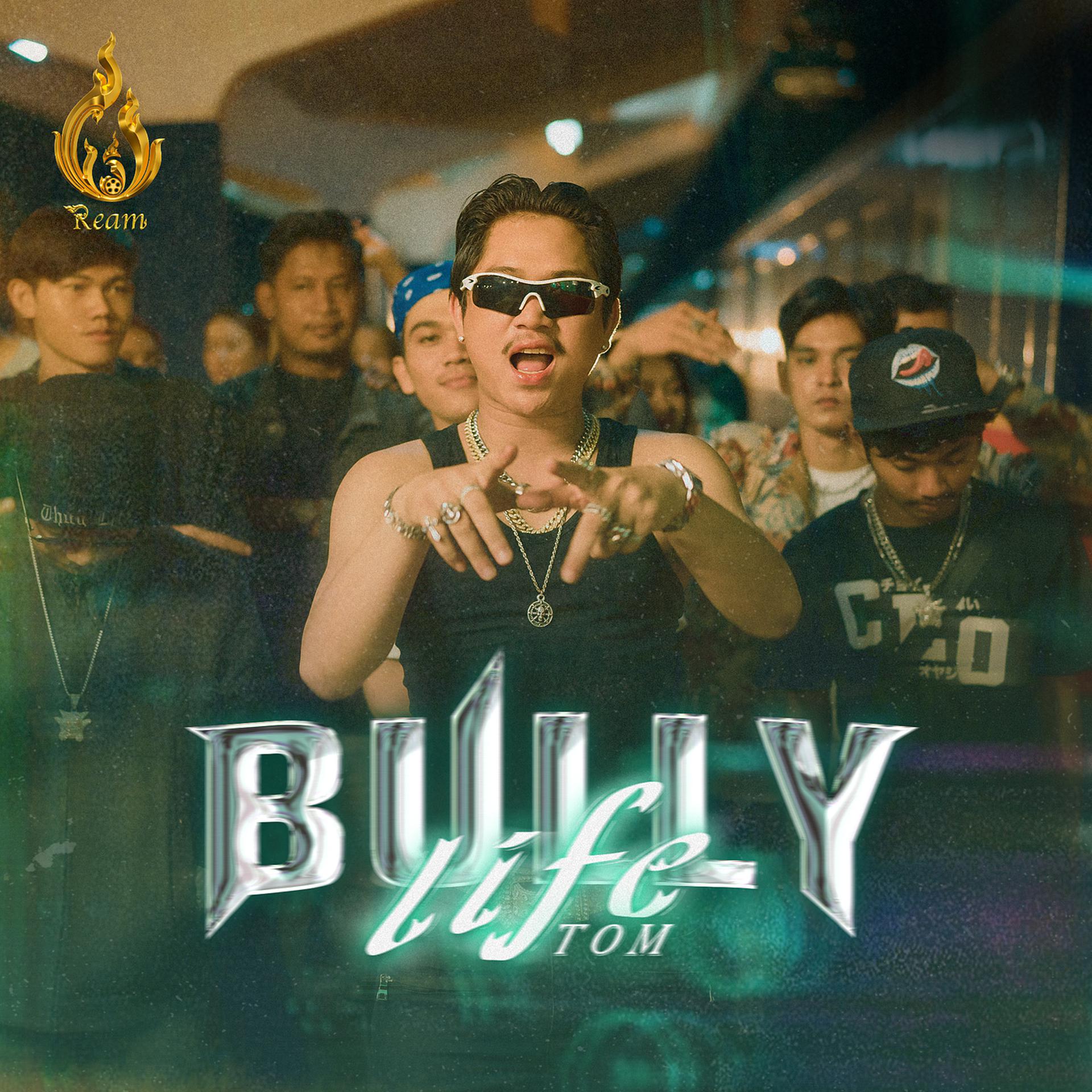 Постер альбома Bully Life
