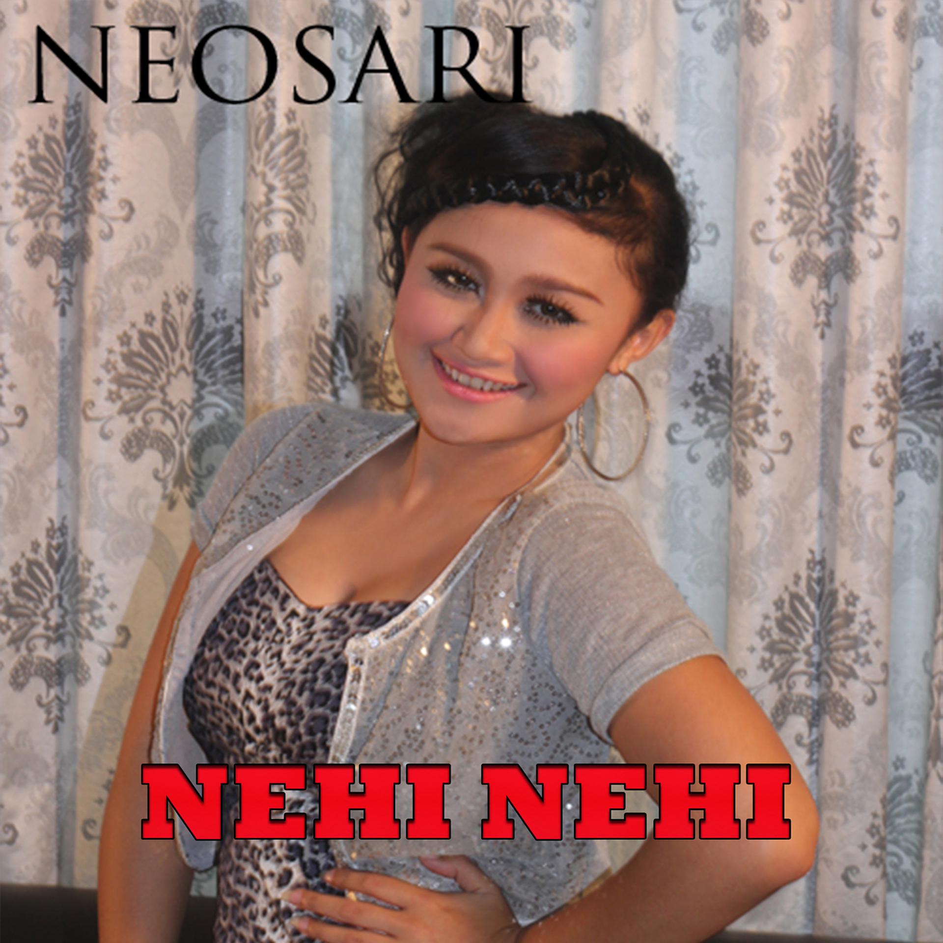 Постер альбома Nehi Nehi