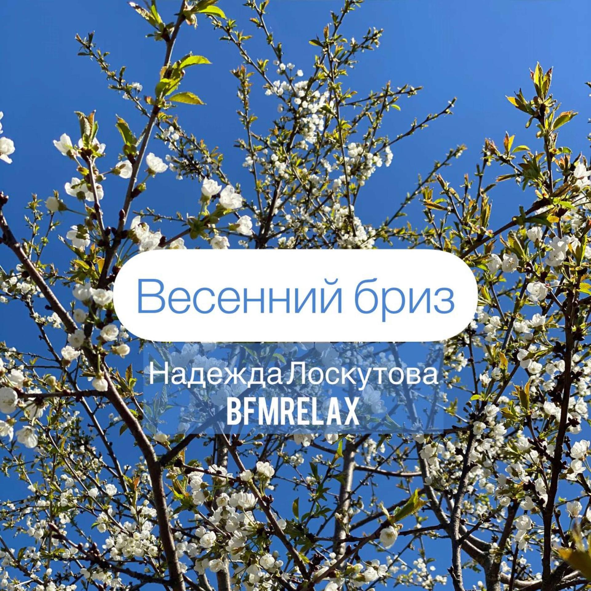 Постер альбома Весенний бриз ( BFMrelax, Надежда Лоскутова, ambient, chillout, классика, )