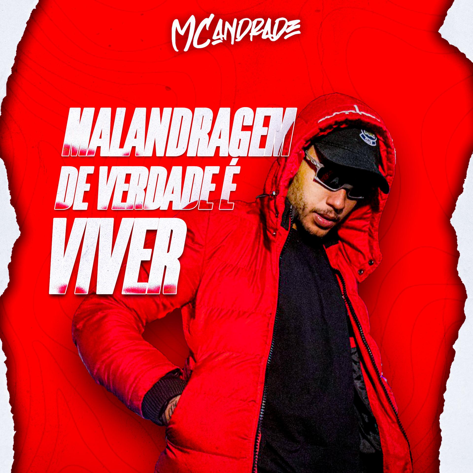Постер альбома Malandragem de Verdade É Viver