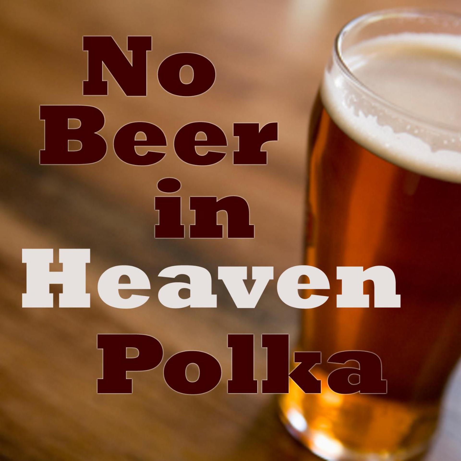 Постер альбома No Beer in Heaven - Polka Party Songs