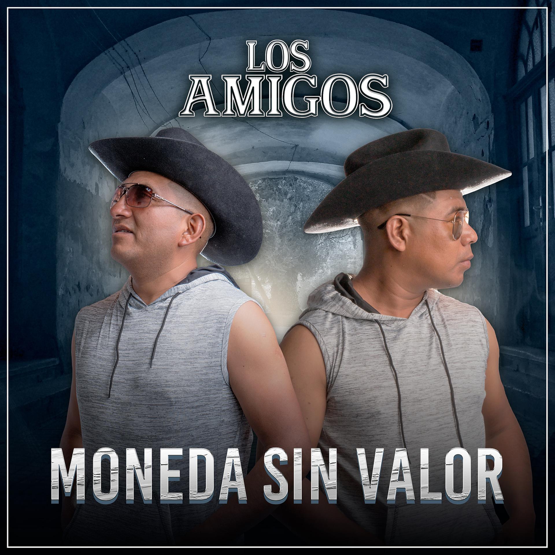 Постер альбома Moneda Sin Valor