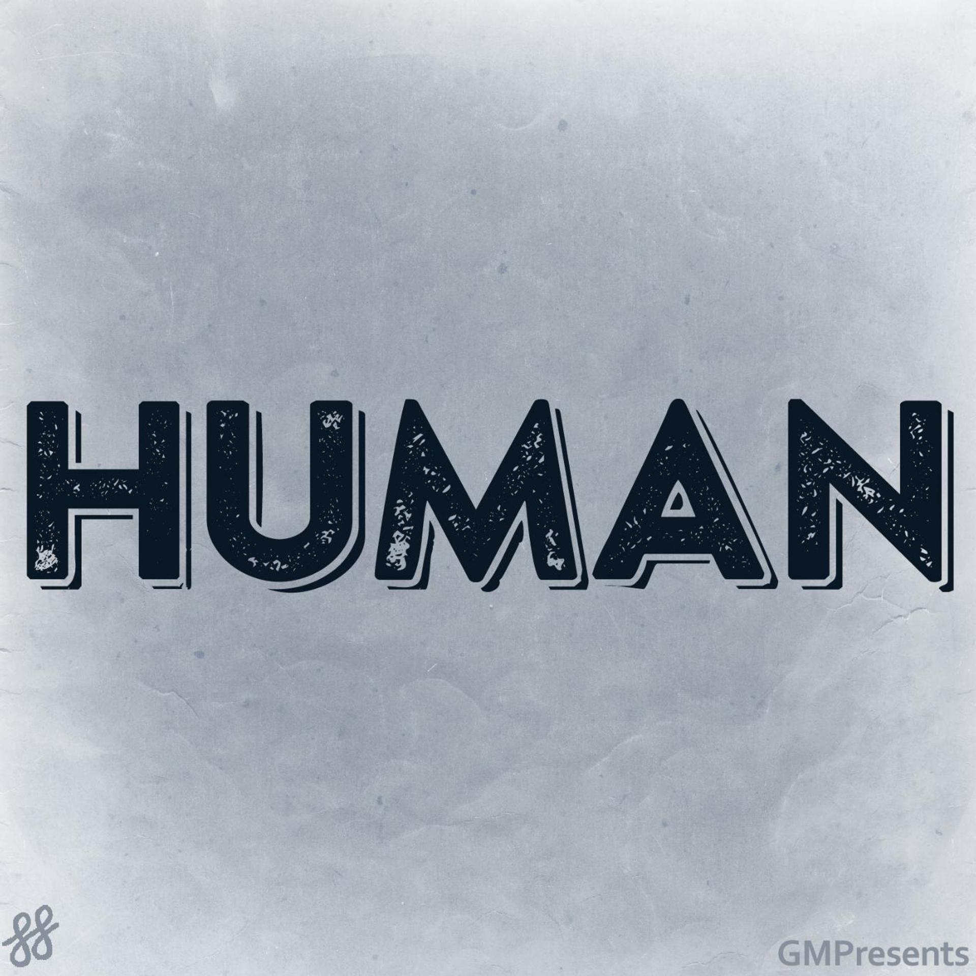 Постер альбома Human (Christina Perri Cover)