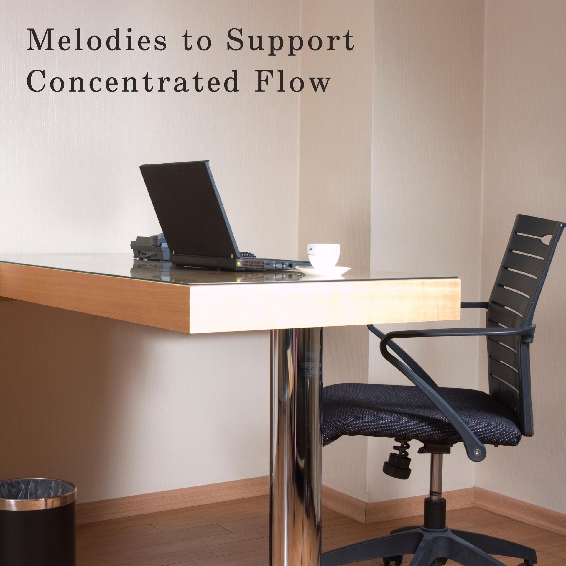 Постер альбома Melodies to Support Concentrated Flow