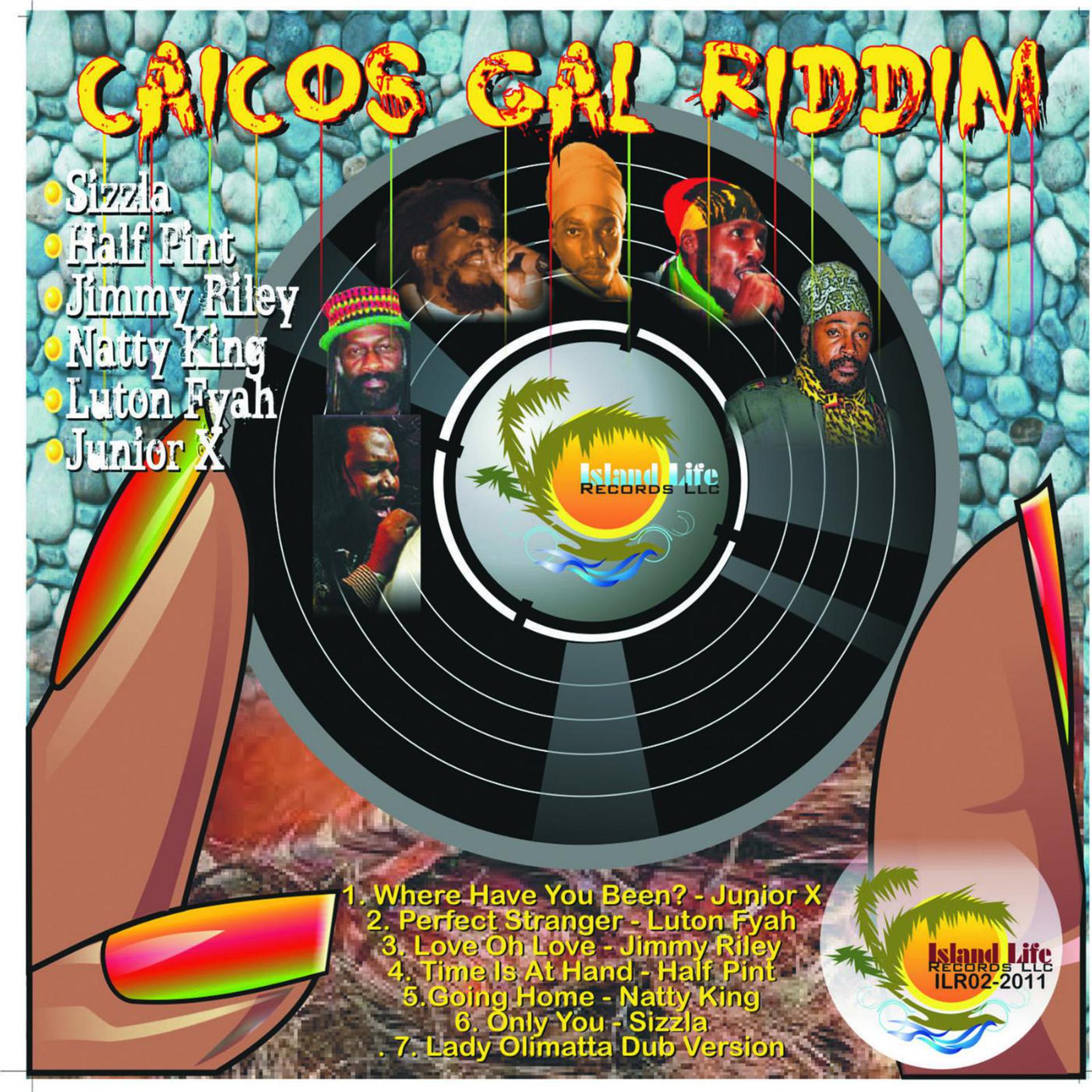Постер альбома Caicos Gal Riddim