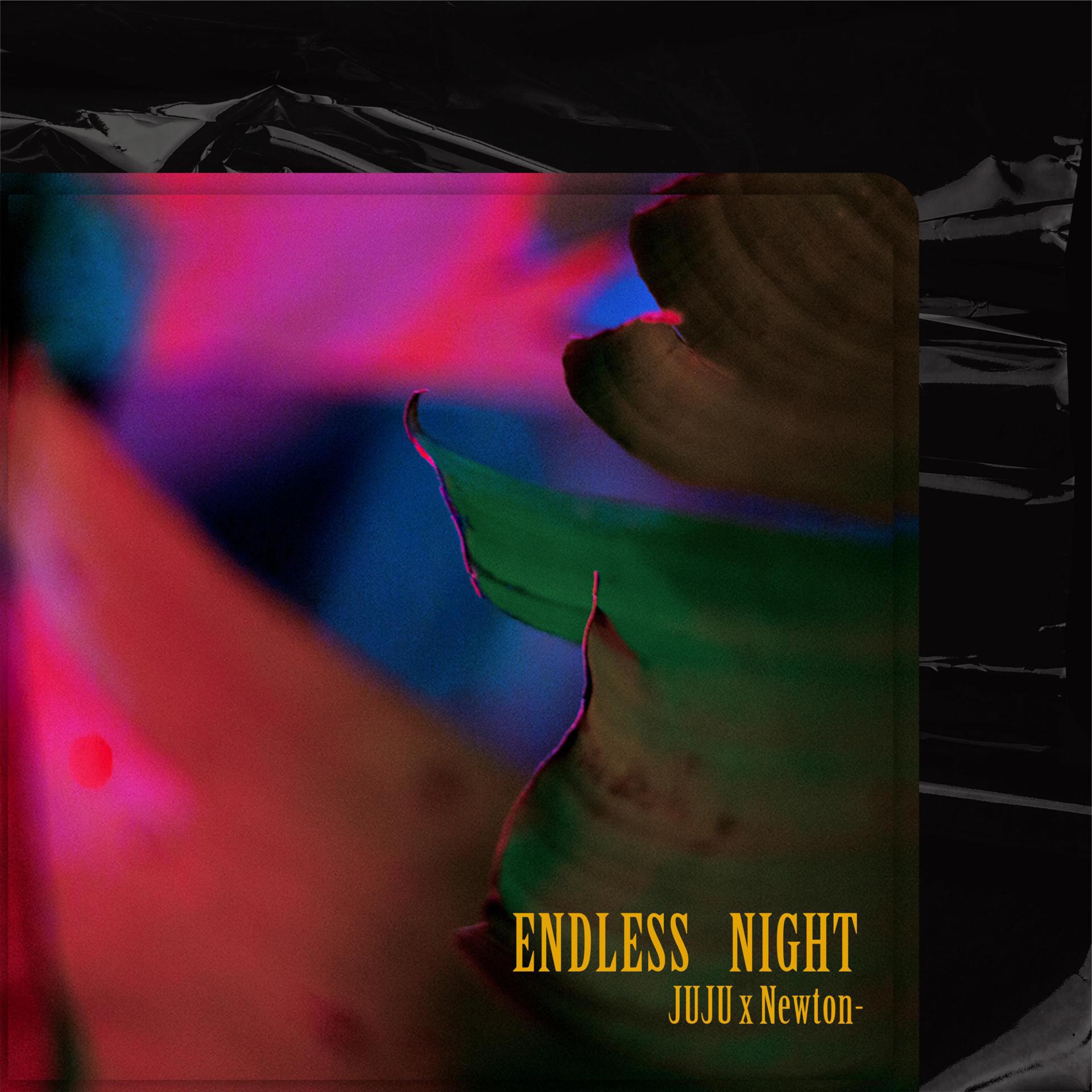 Постер альбома Endless Night