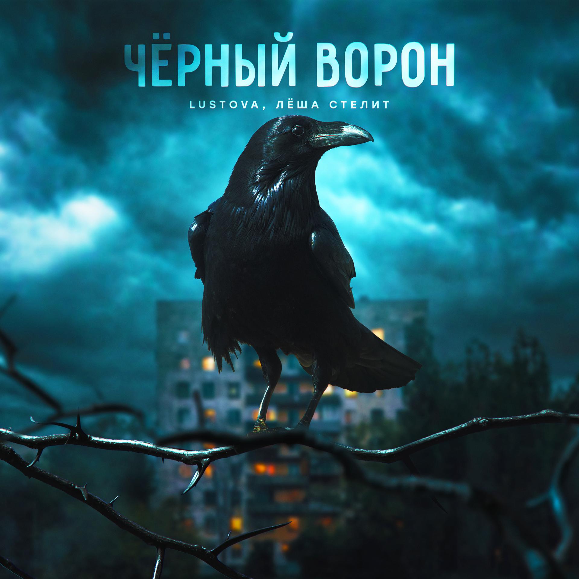 Постер альбома Чёрный ворон