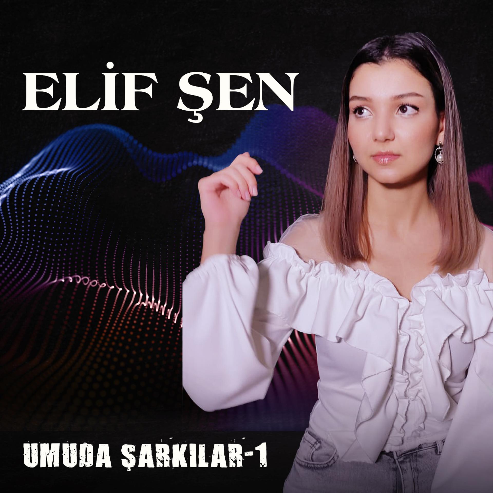 Постер альбома UMUDA ŞARKILAR 1