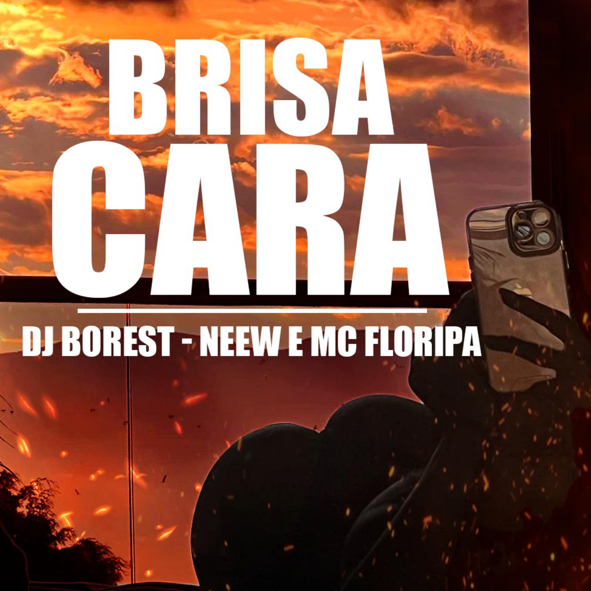Постер альбома Brisa Cara