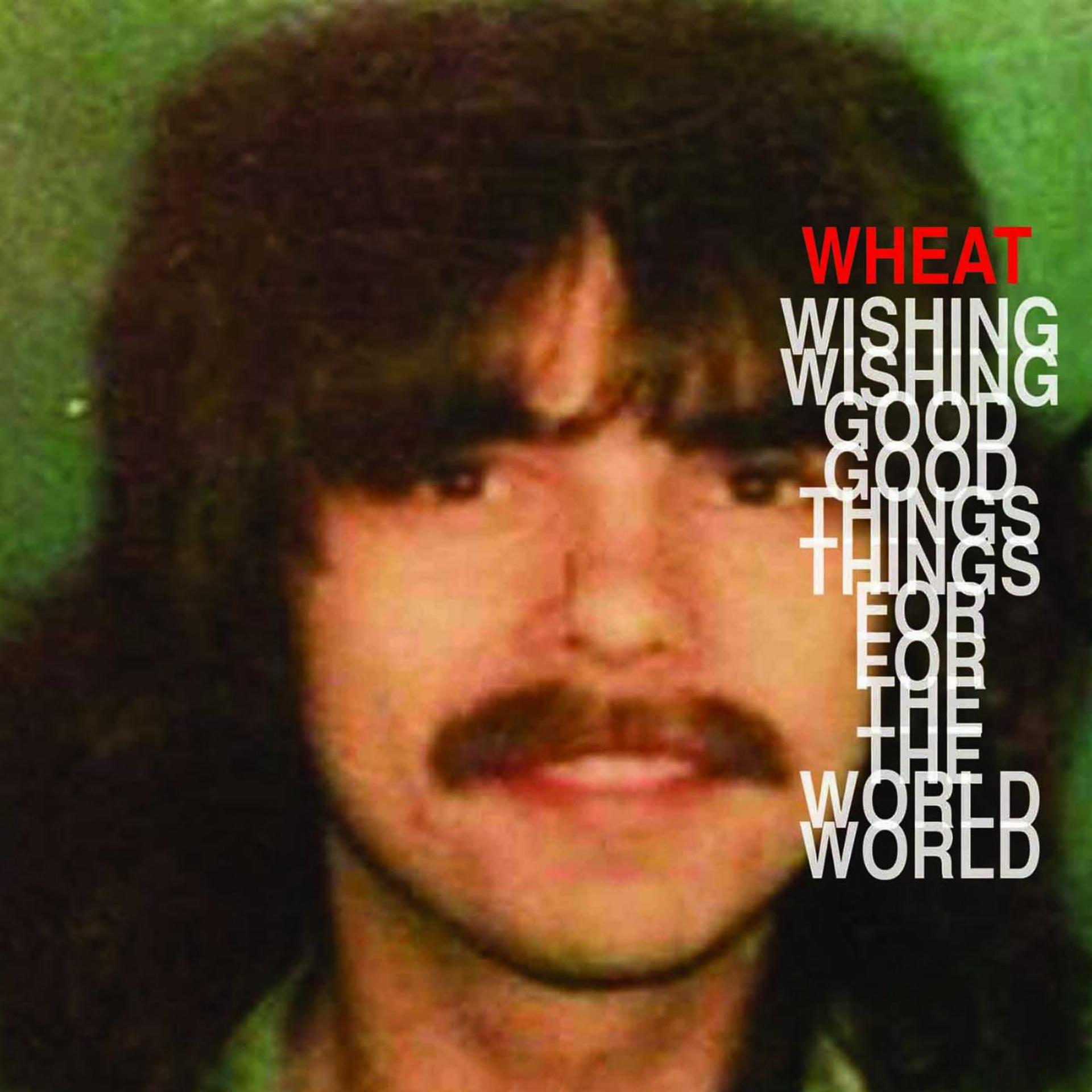 Постер альбома Wishing Good Things for the World